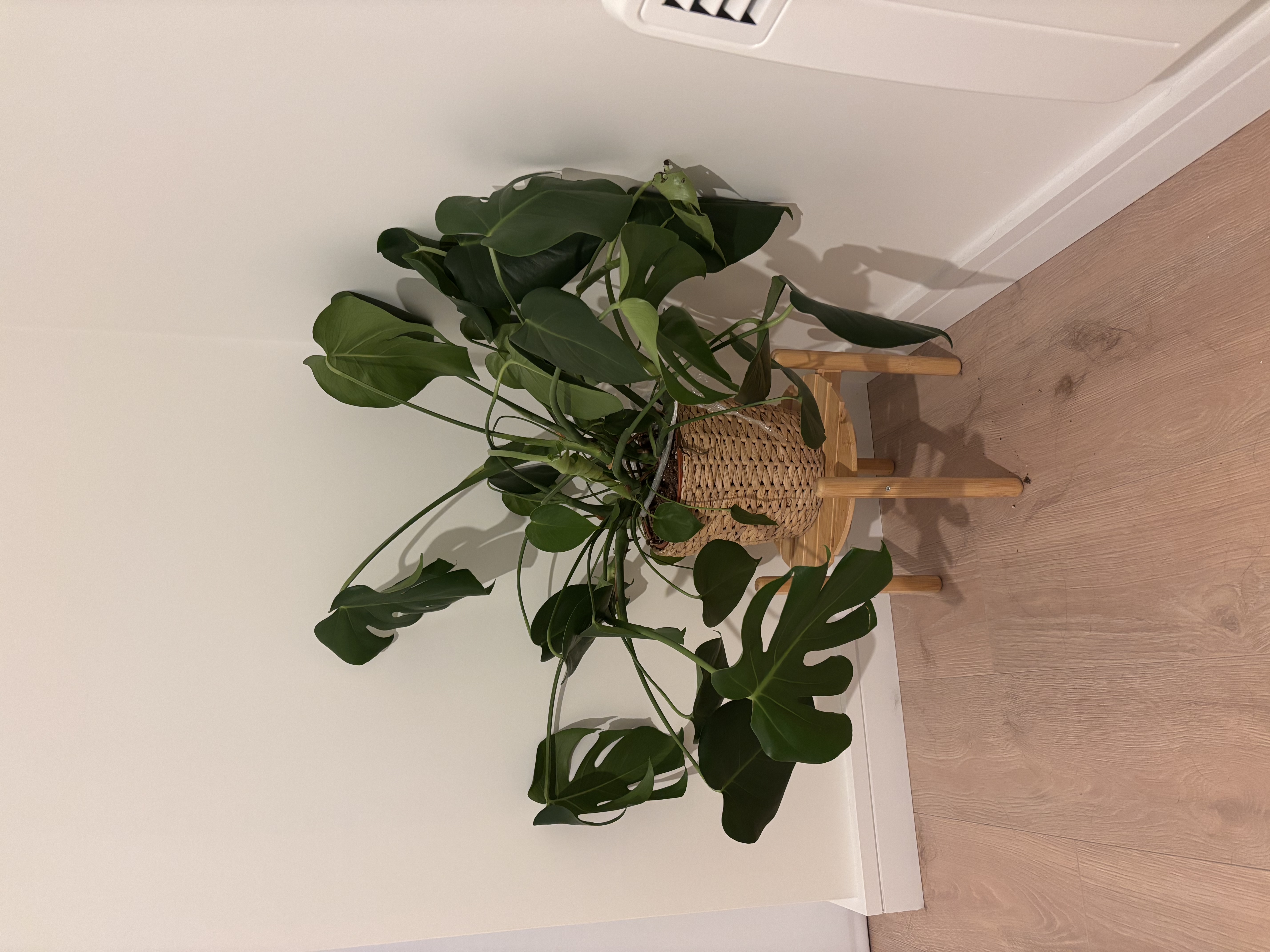 image-19