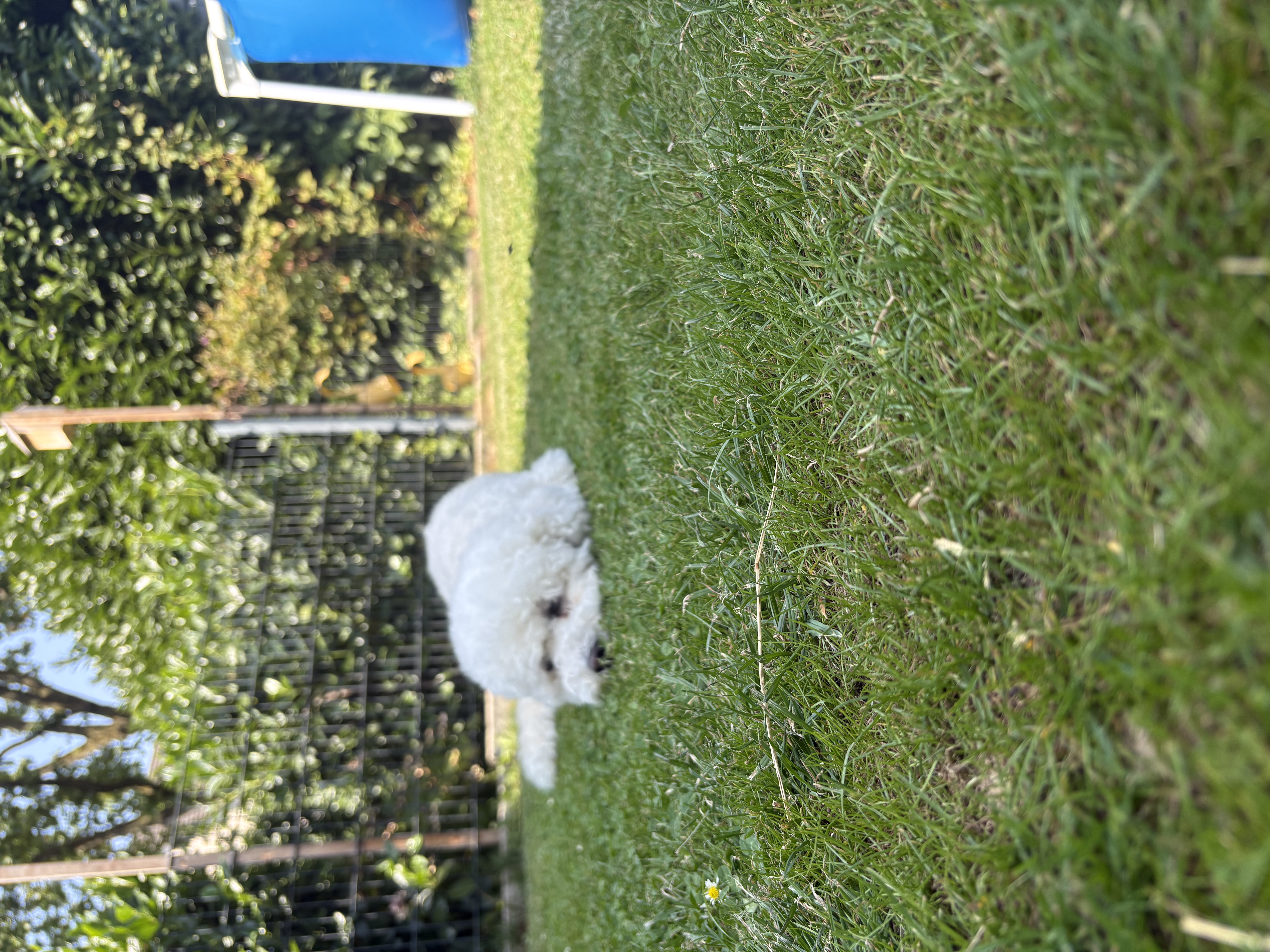 image-15