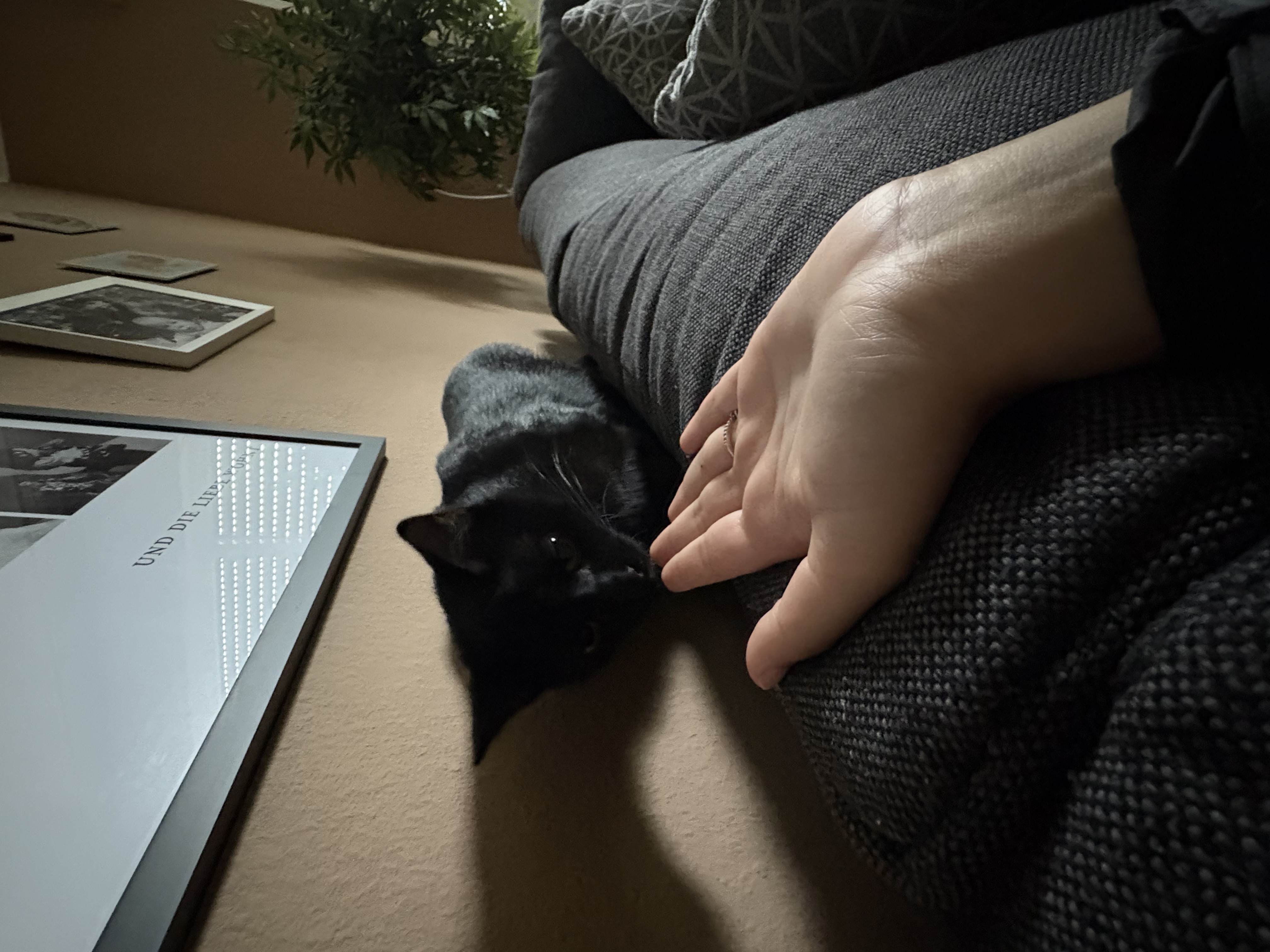 image-13