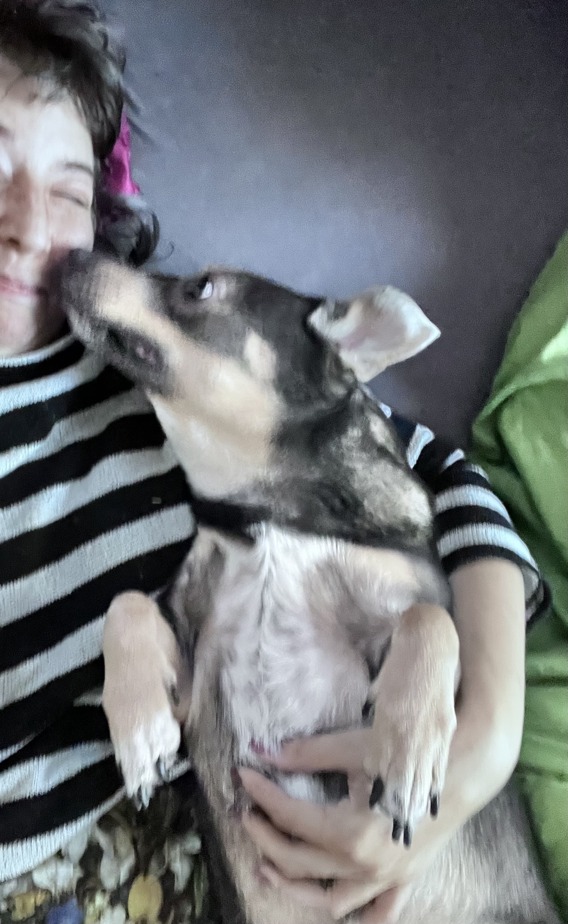 image-4