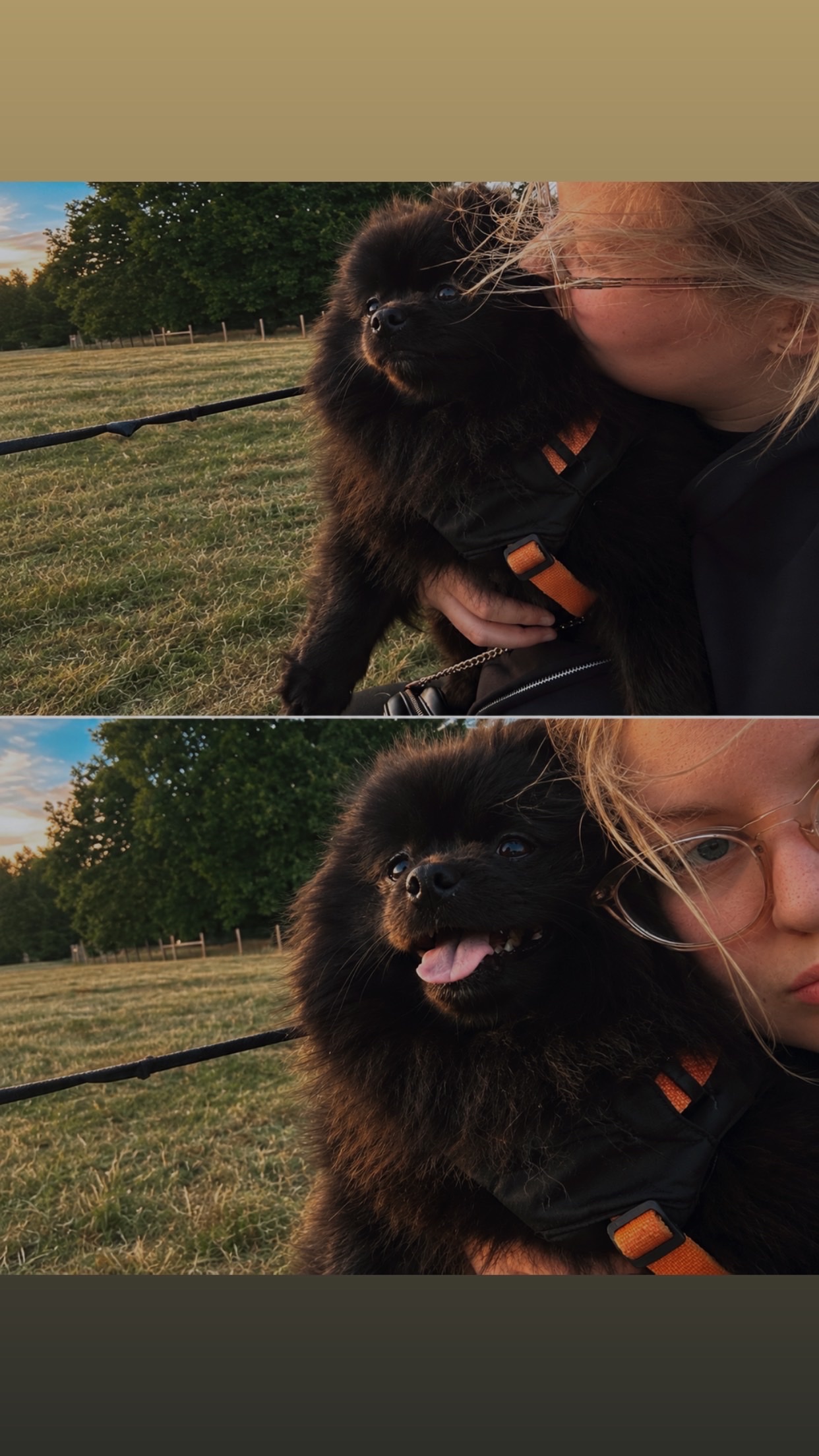 image-14