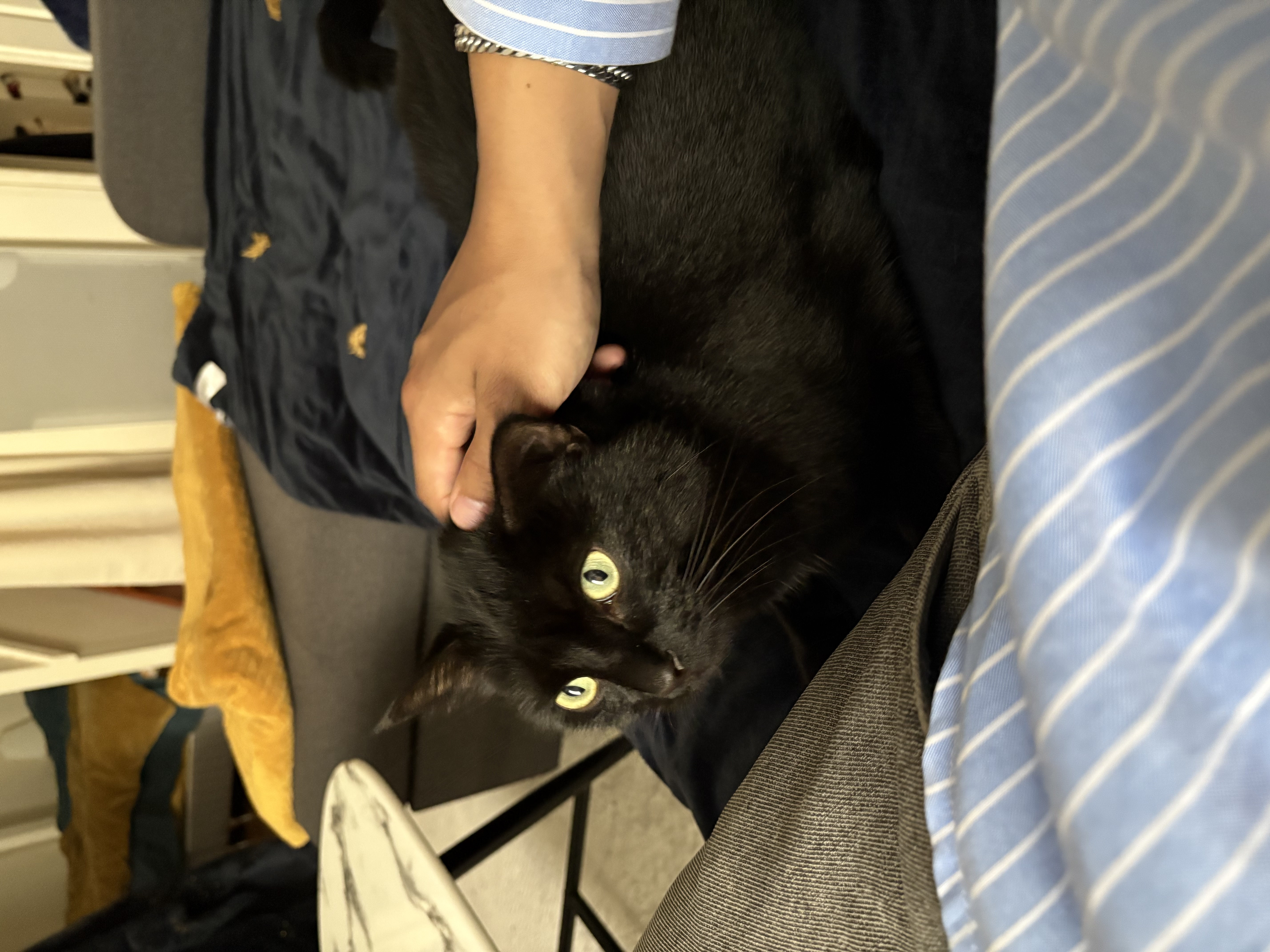 image-7