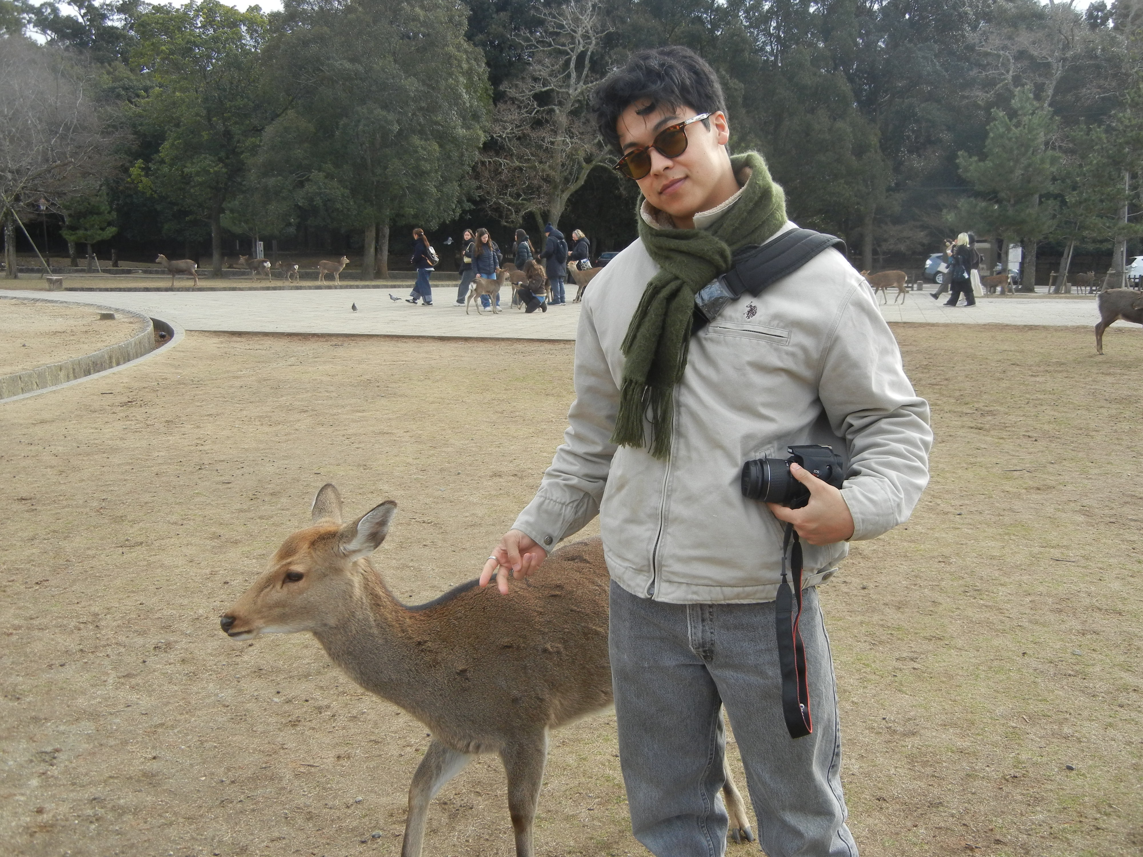 image-10