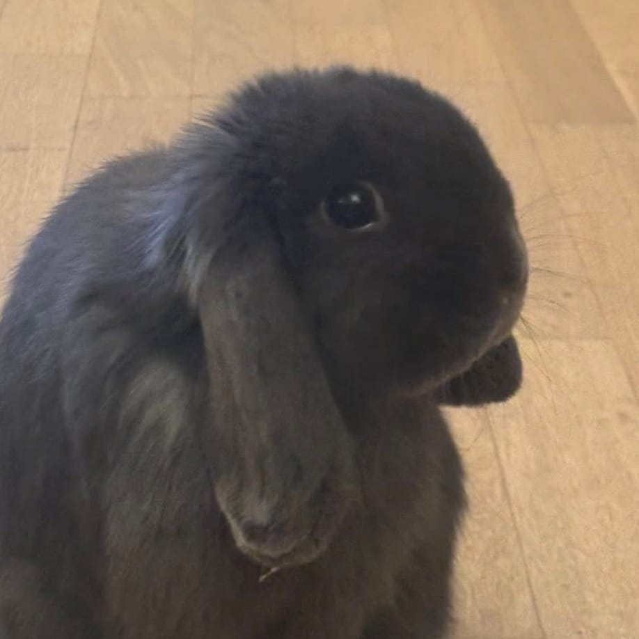 Ronnie