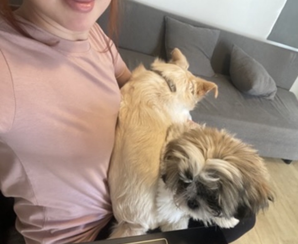 image-6