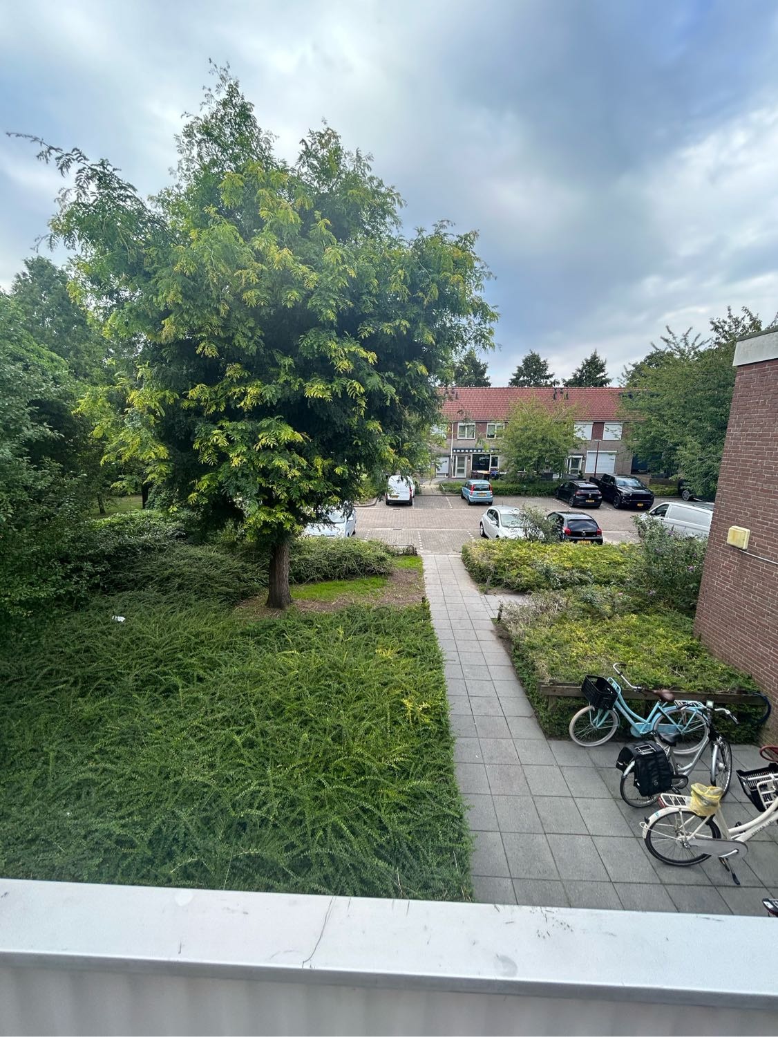 image-21