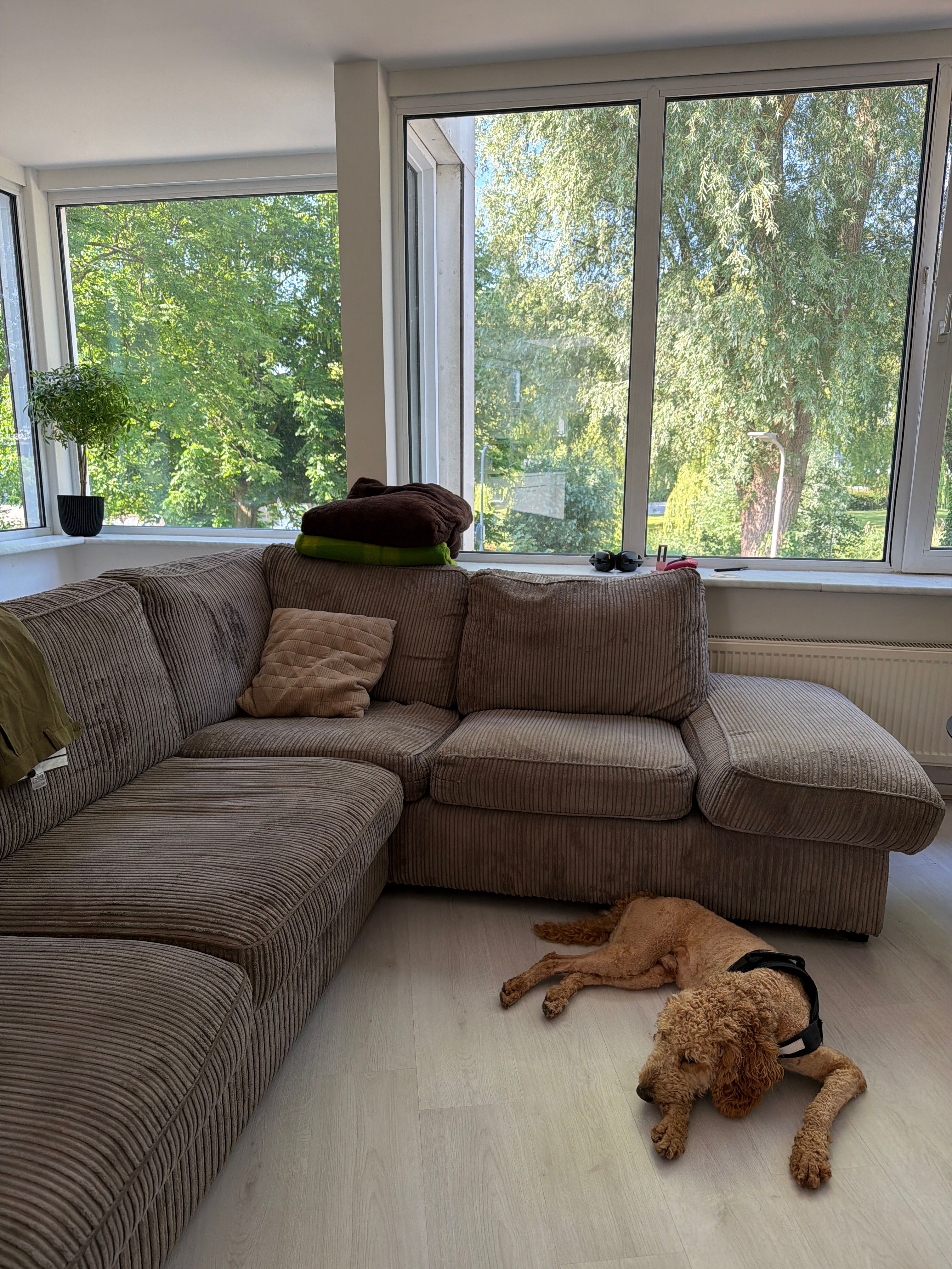 image-16