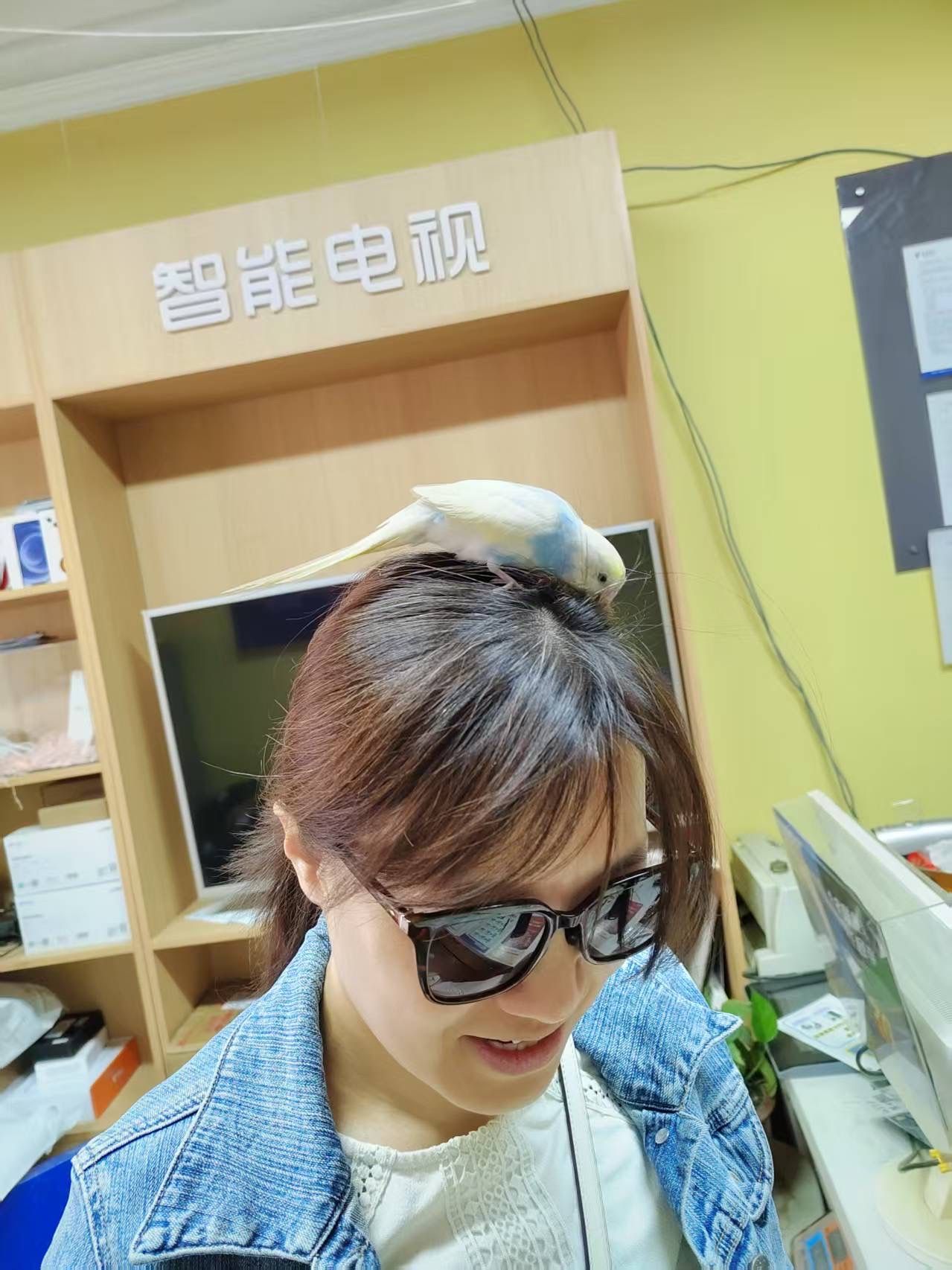 image-5