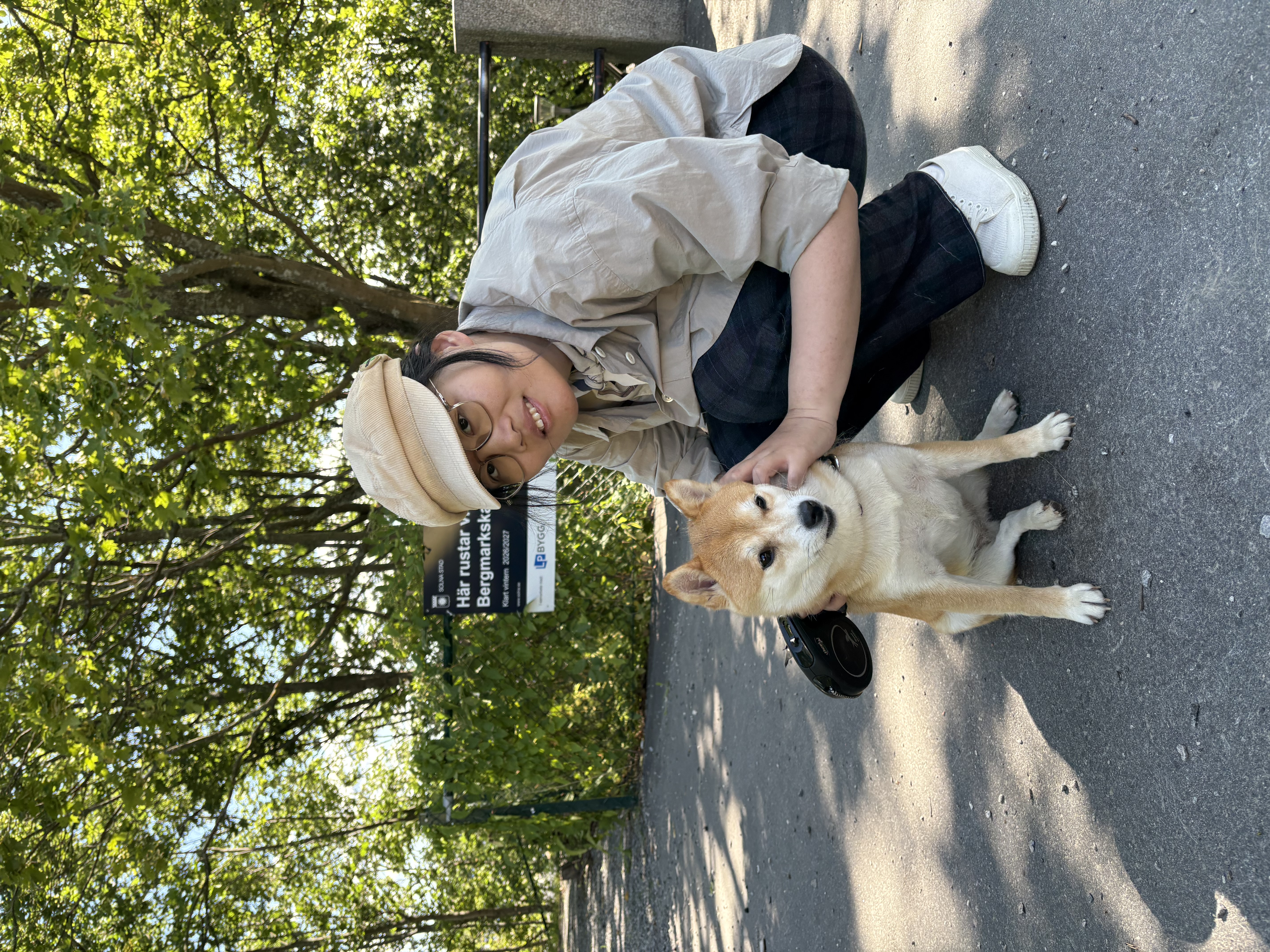 image-13