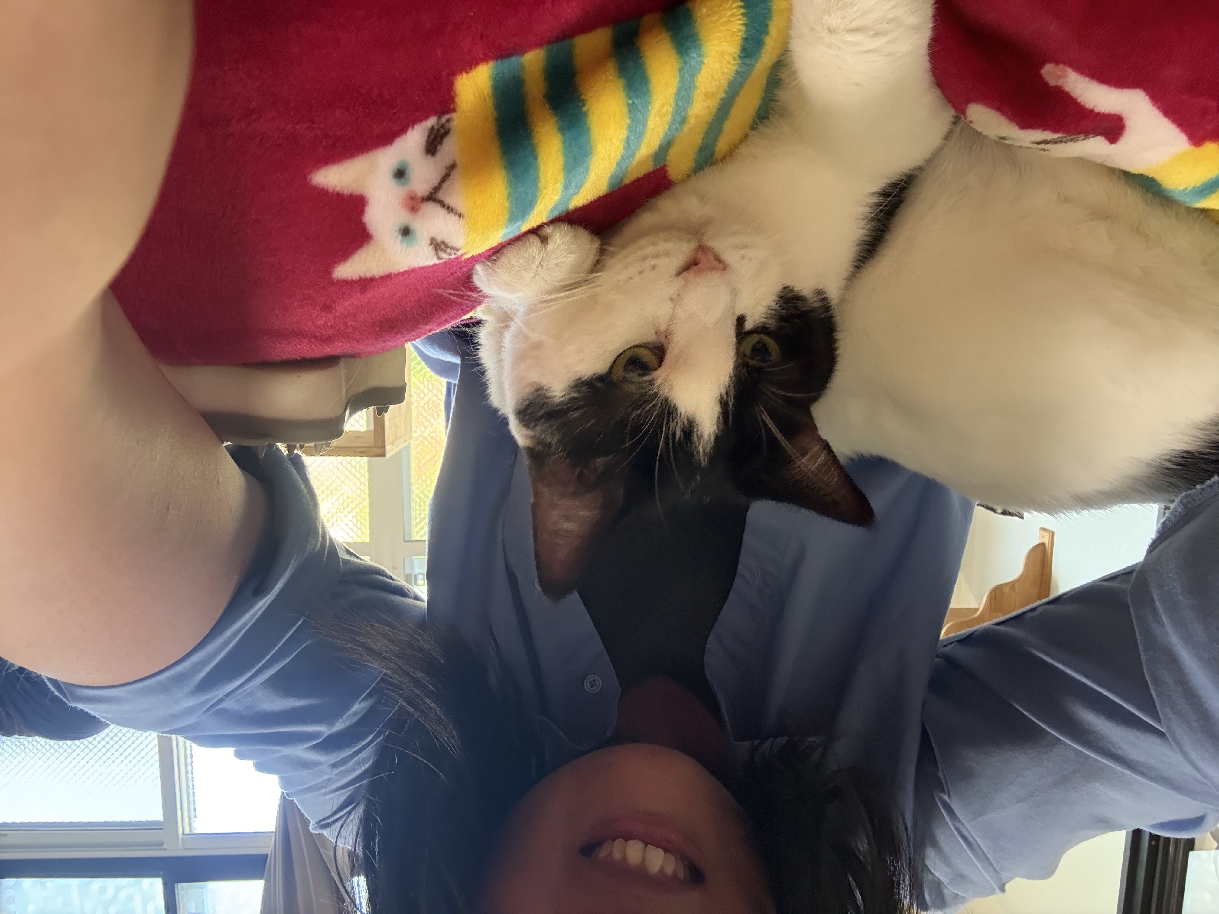 image-6
