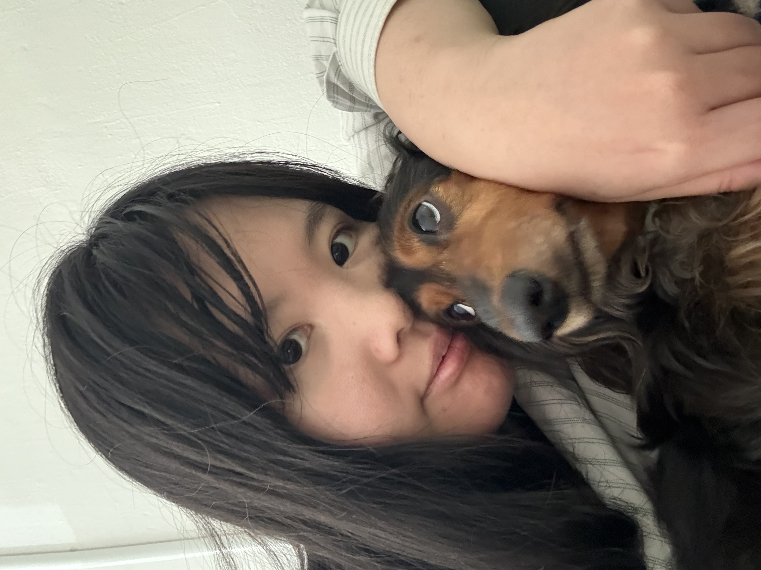 image-4