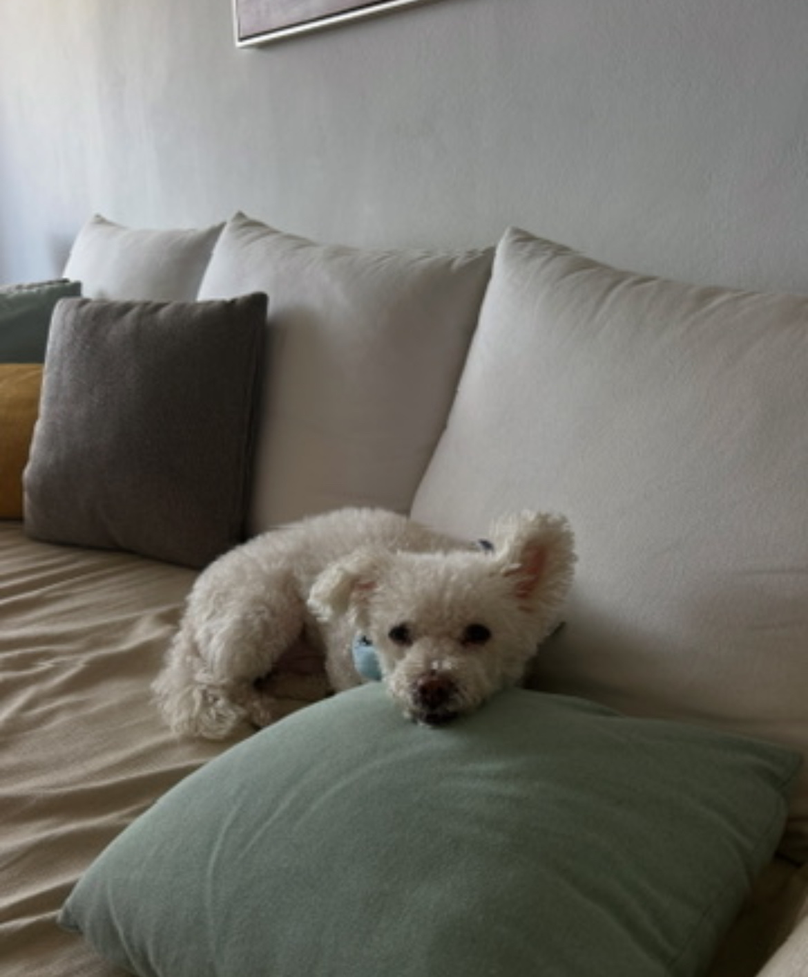 image-6