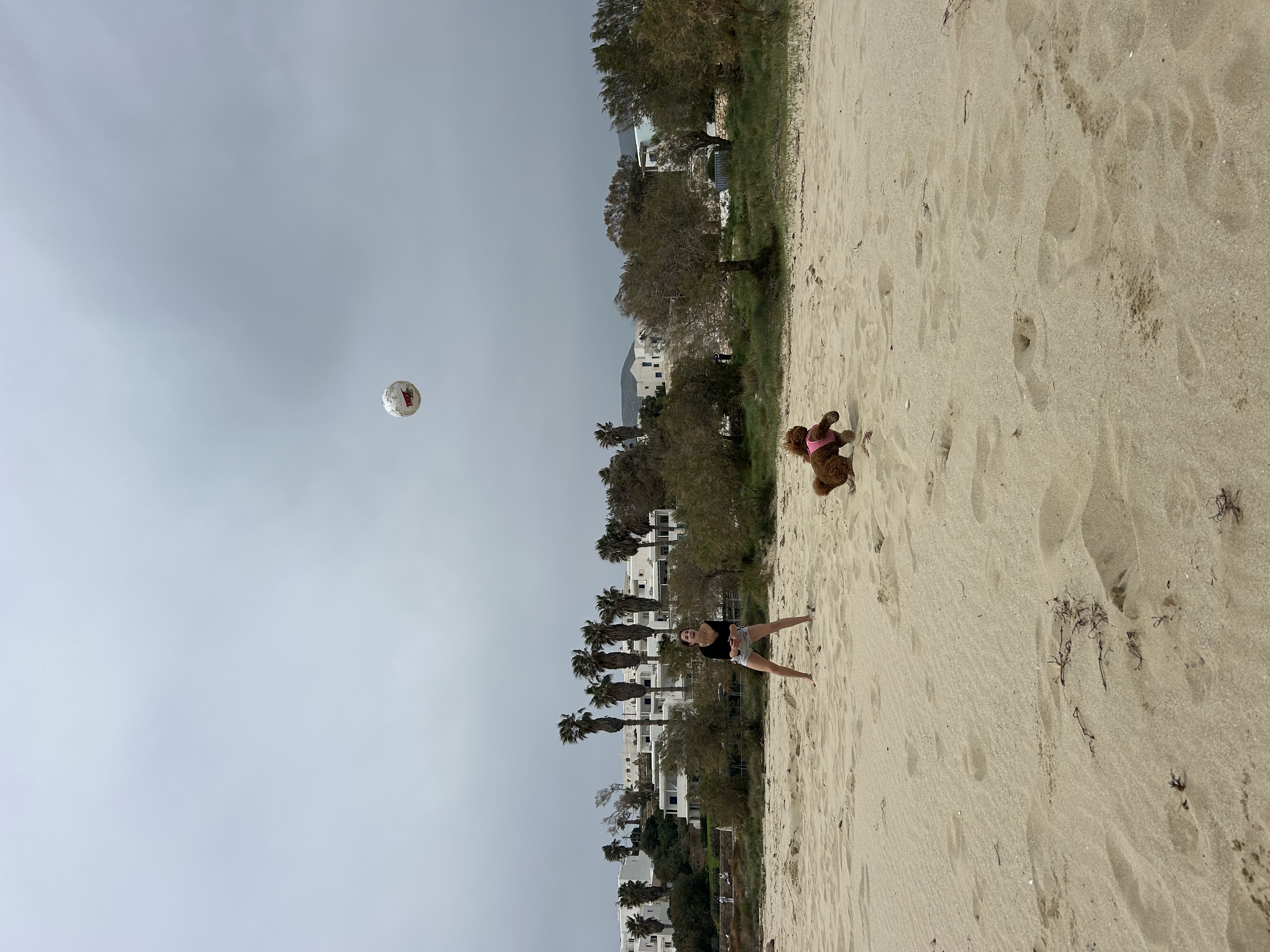 image-17
