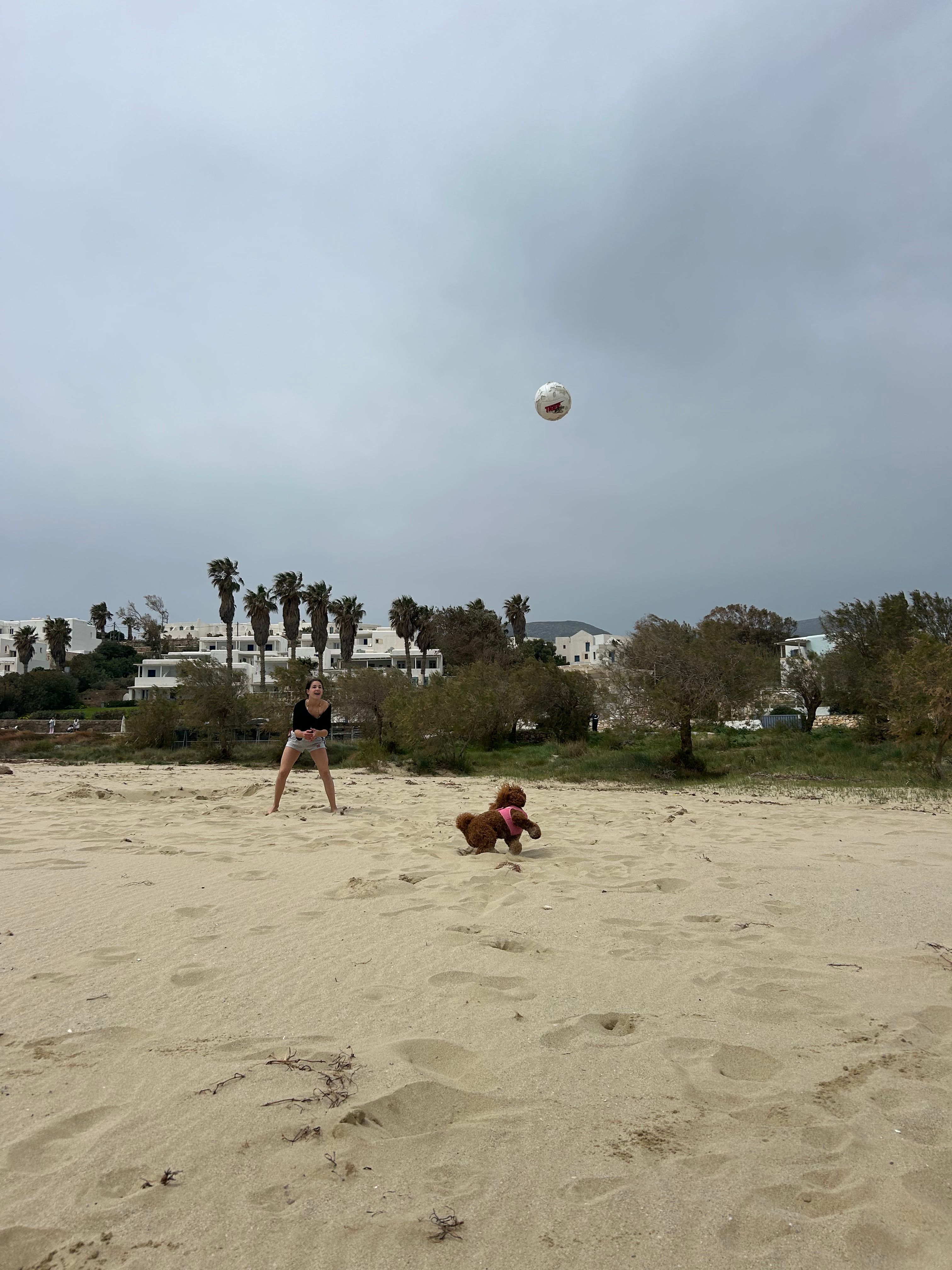 image-17