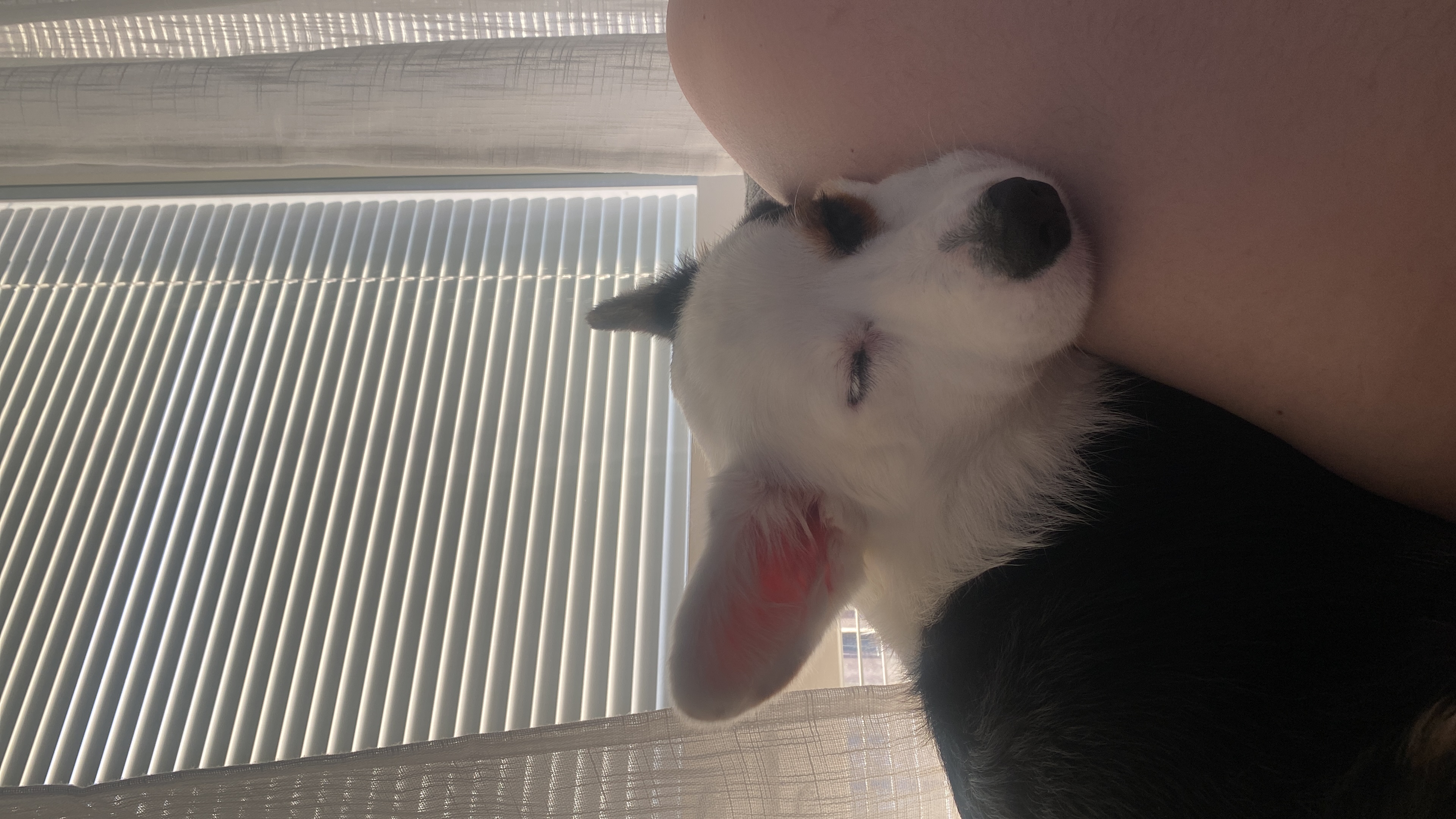 image-8