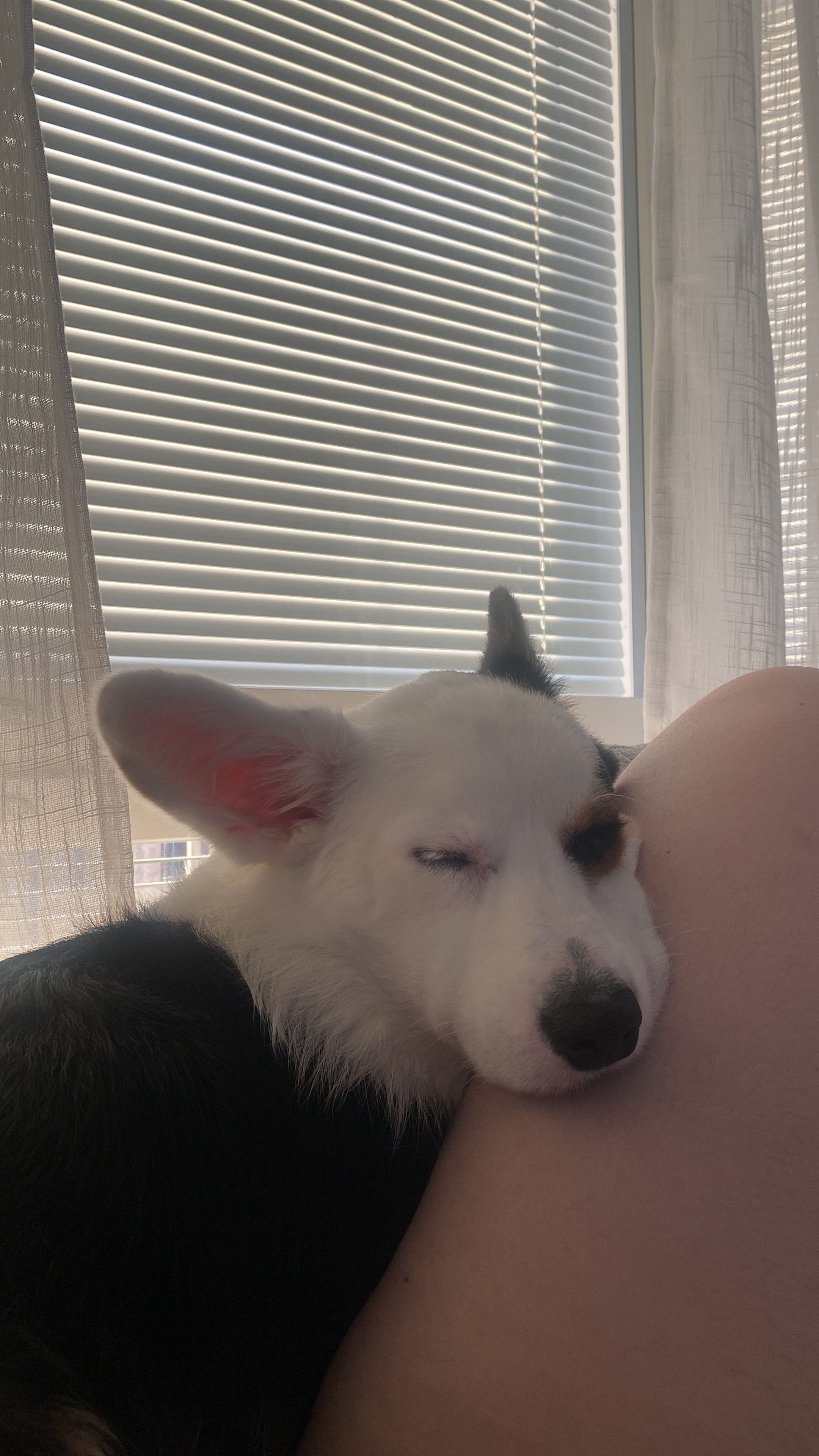 image-8