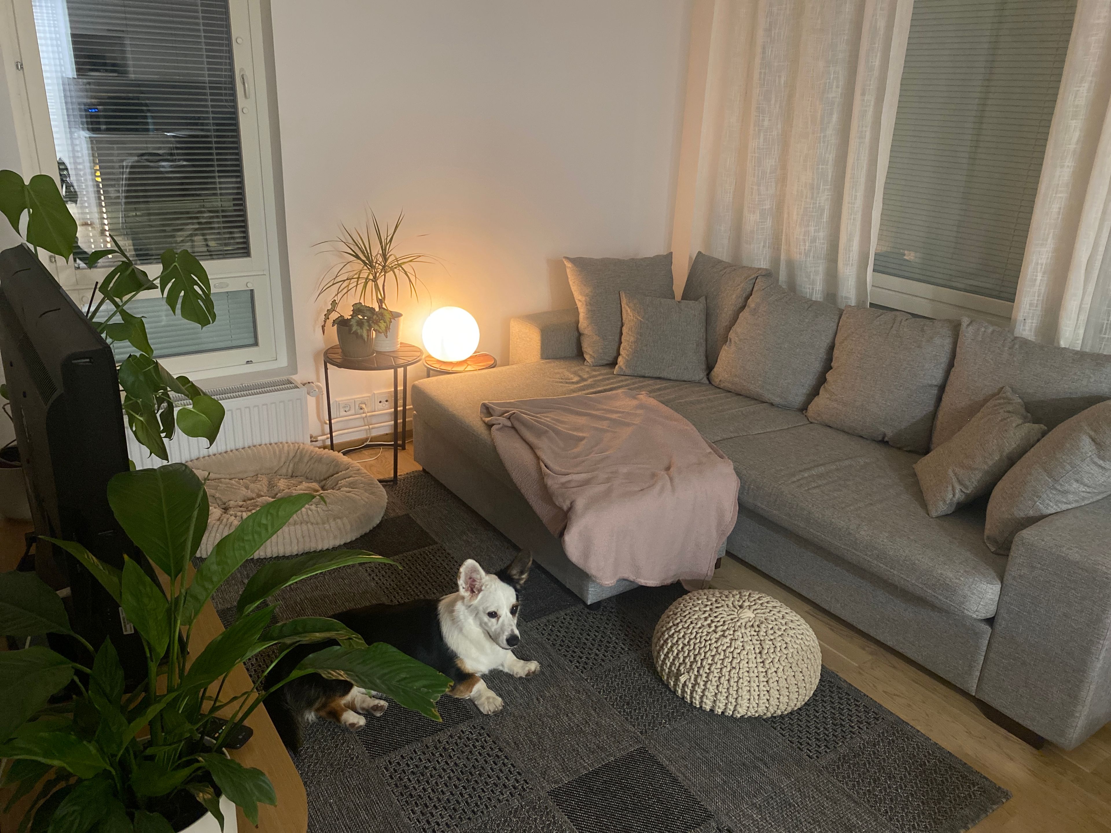 image-10