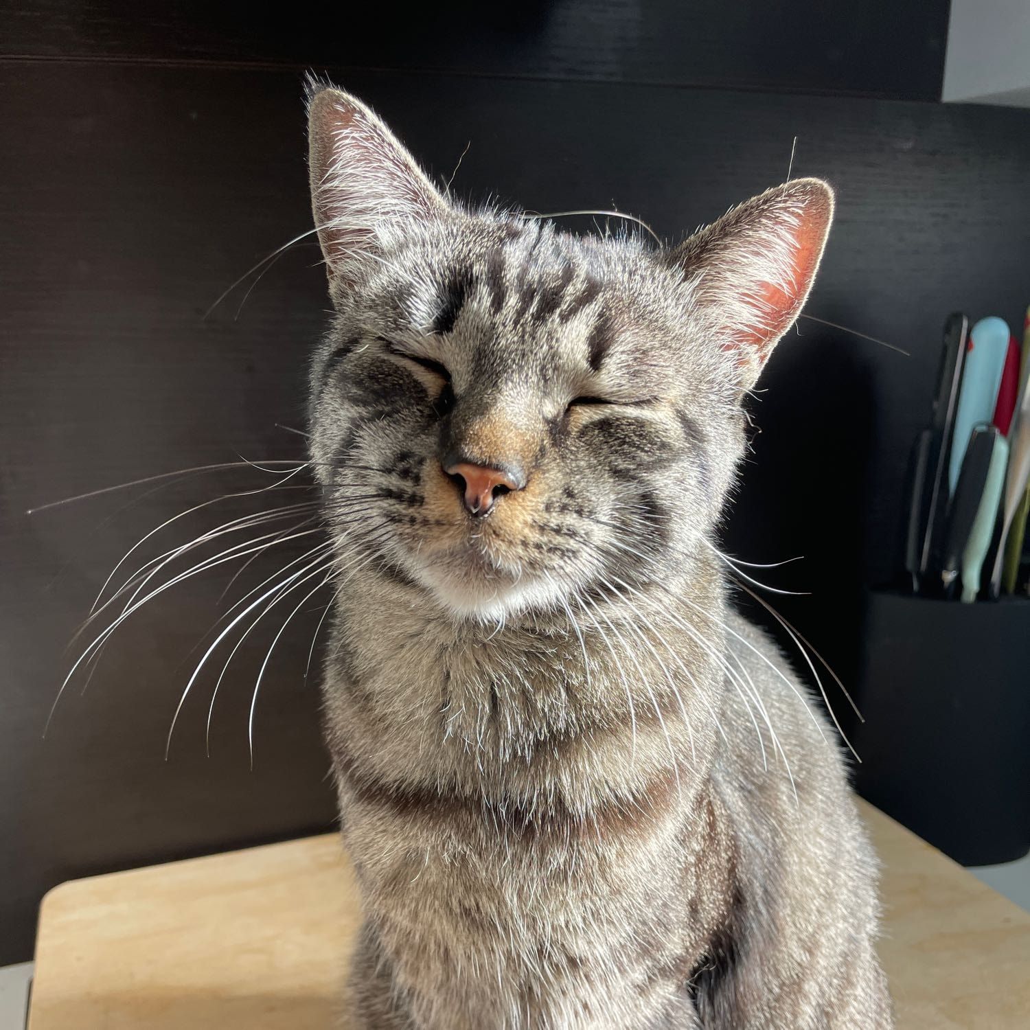 Zorro