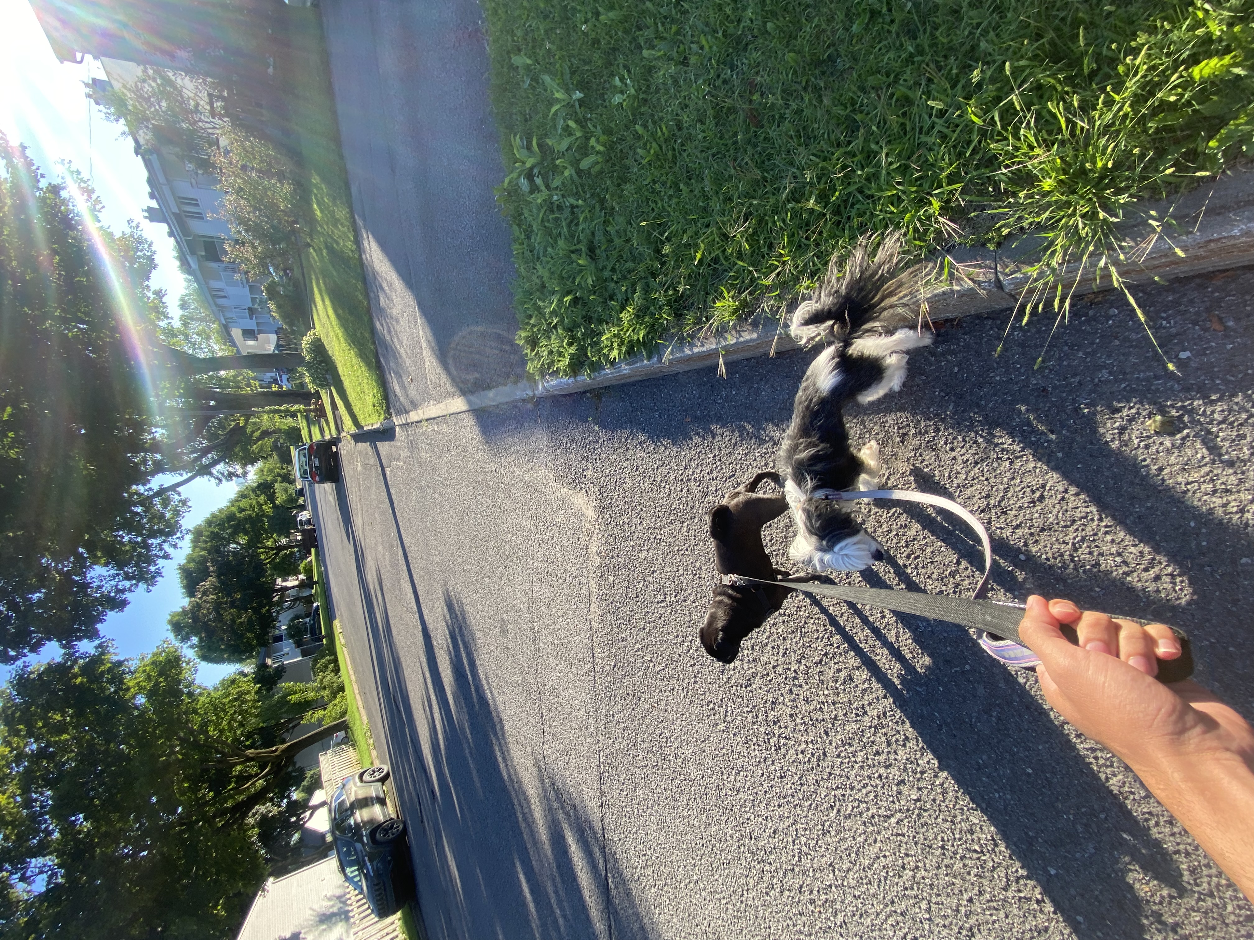 image-6