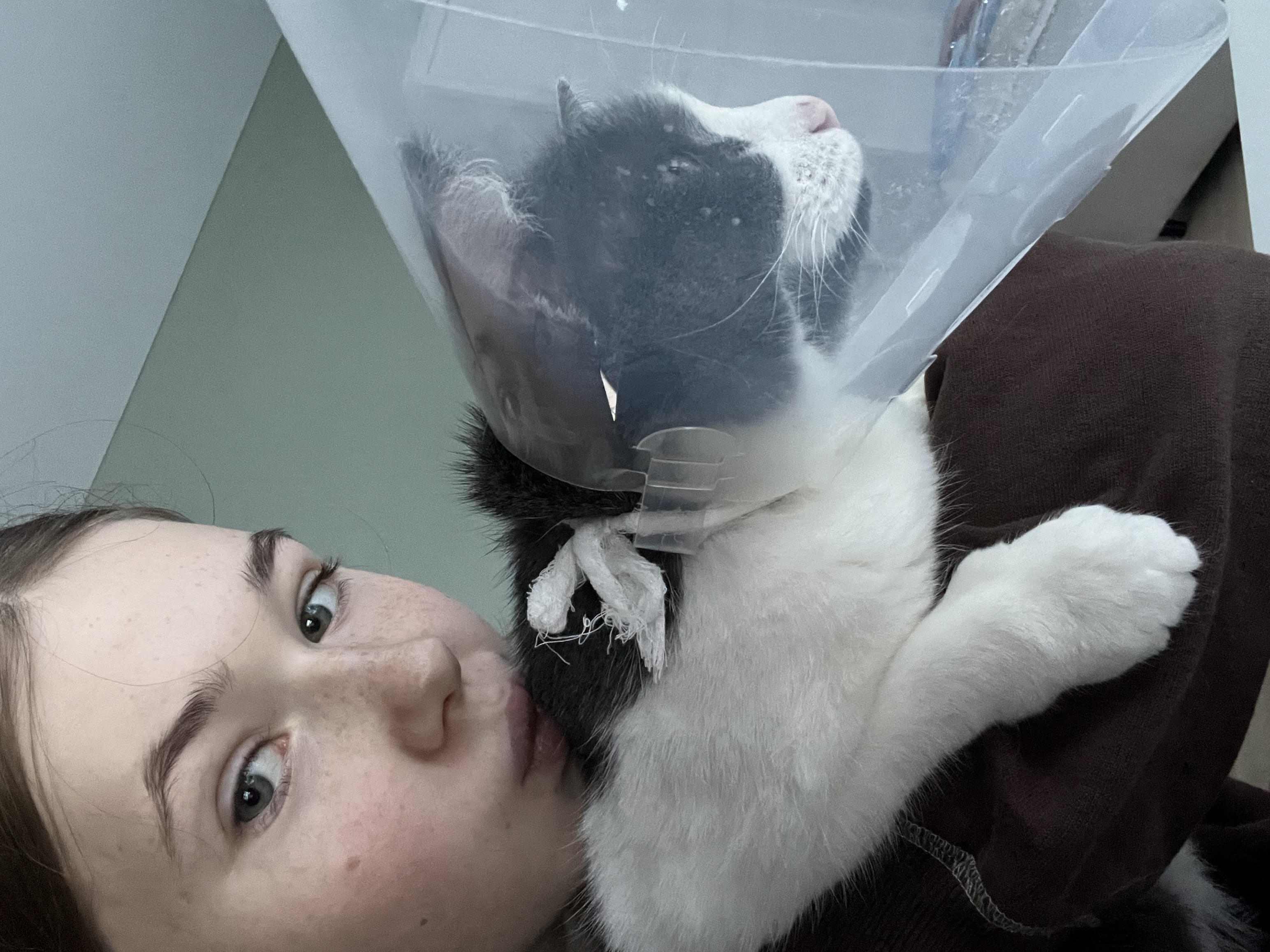 image-7