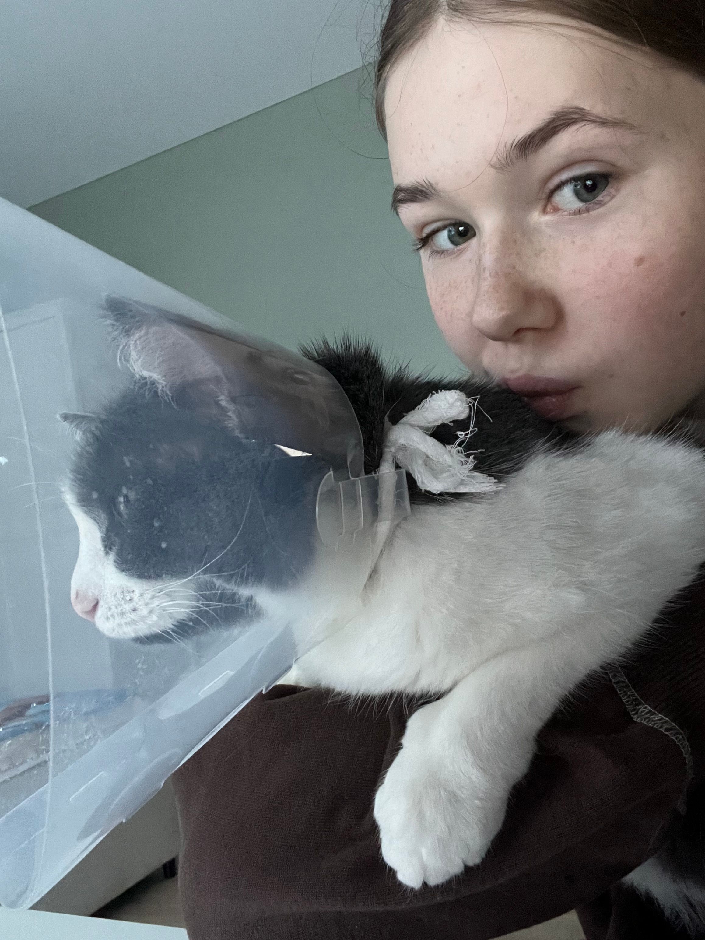 image-7