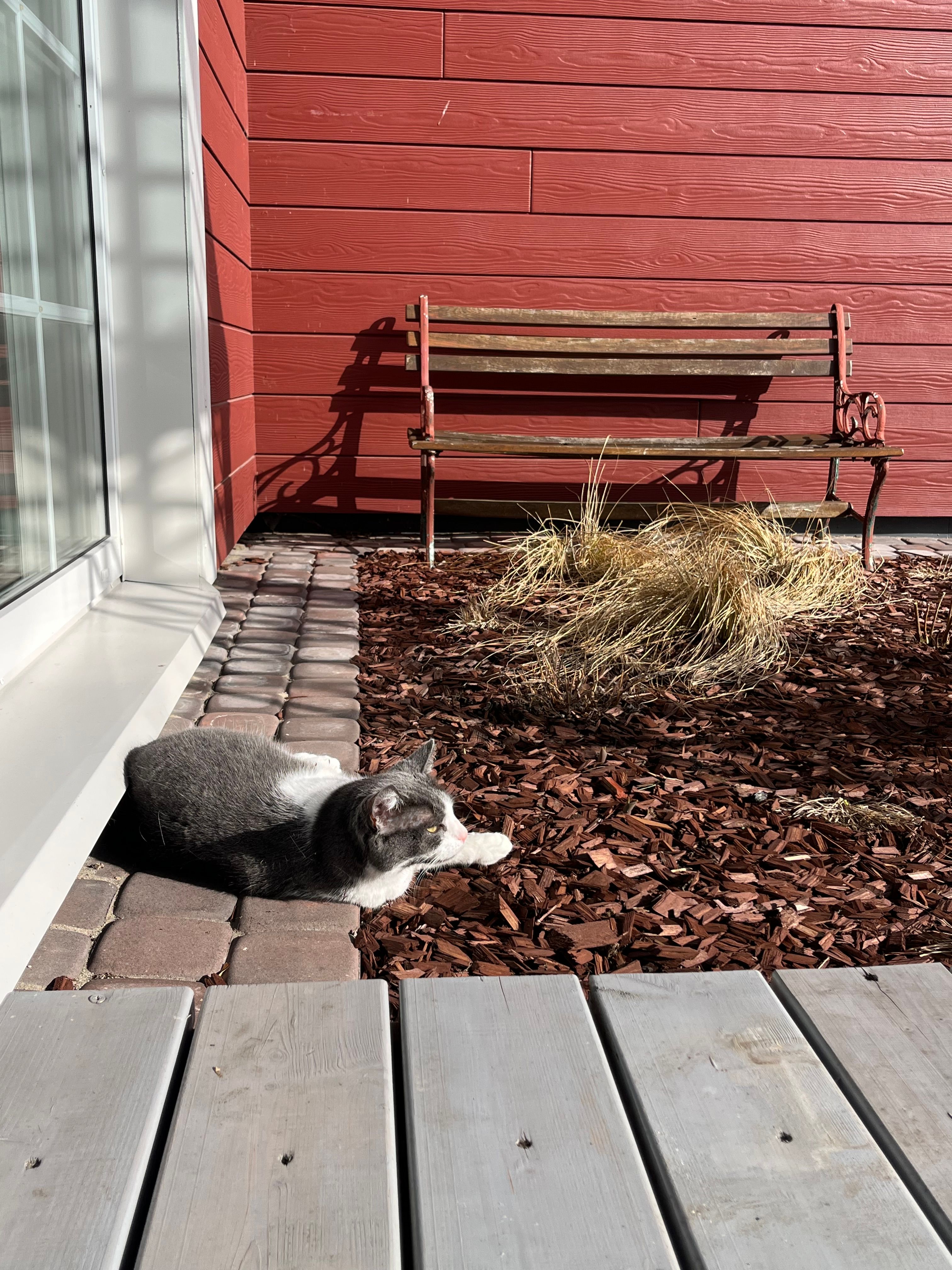 image-15