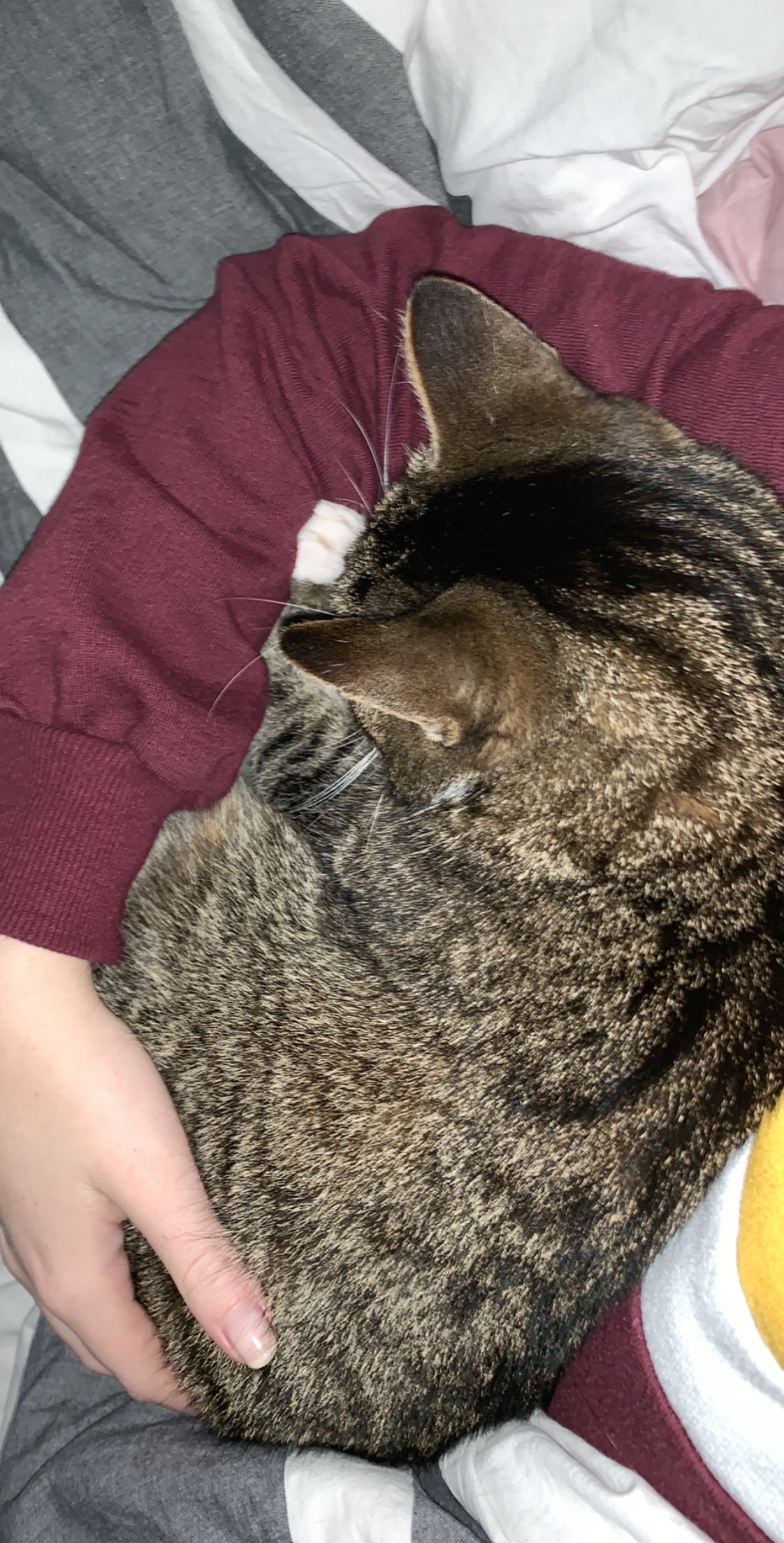 image-6