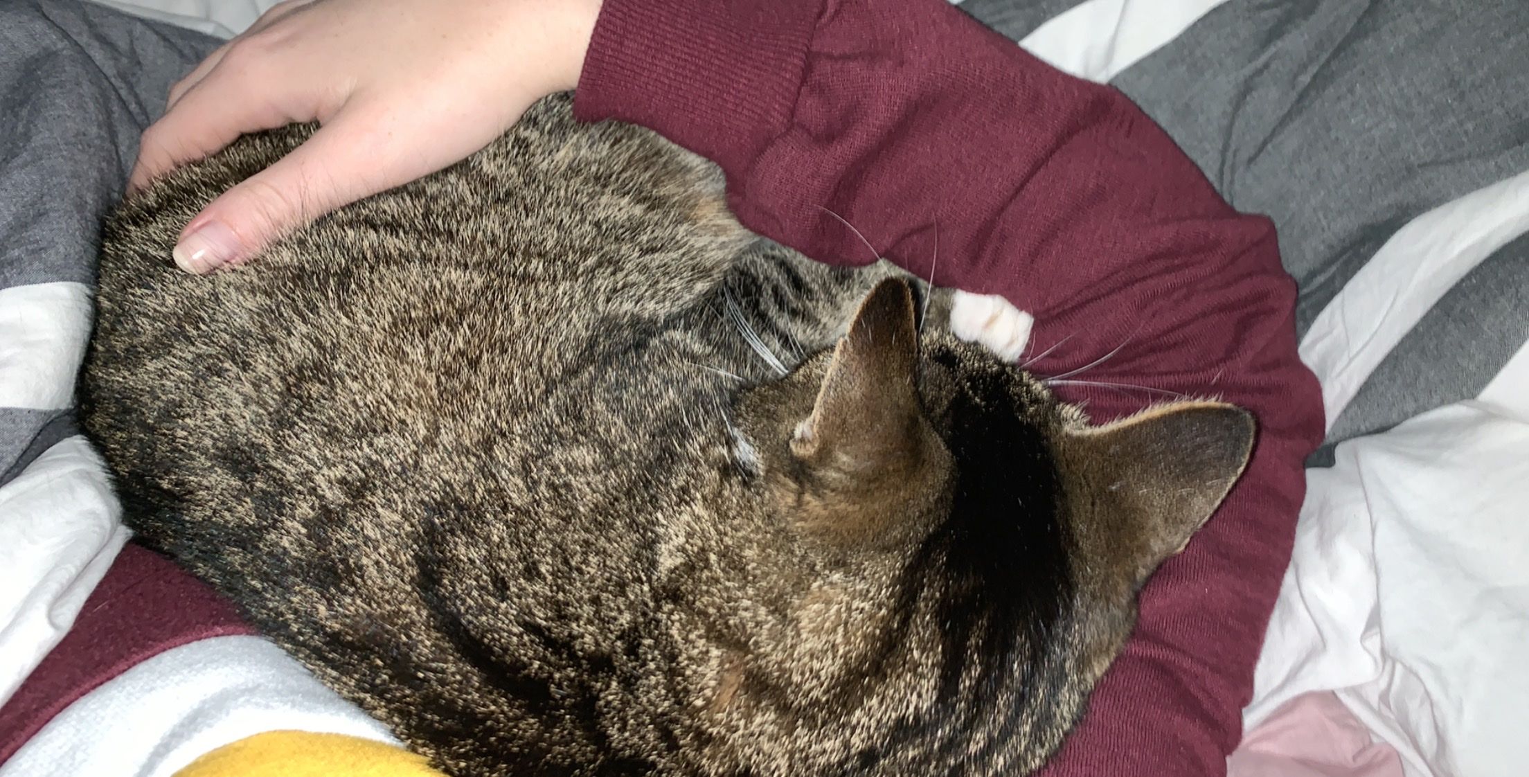 image-6