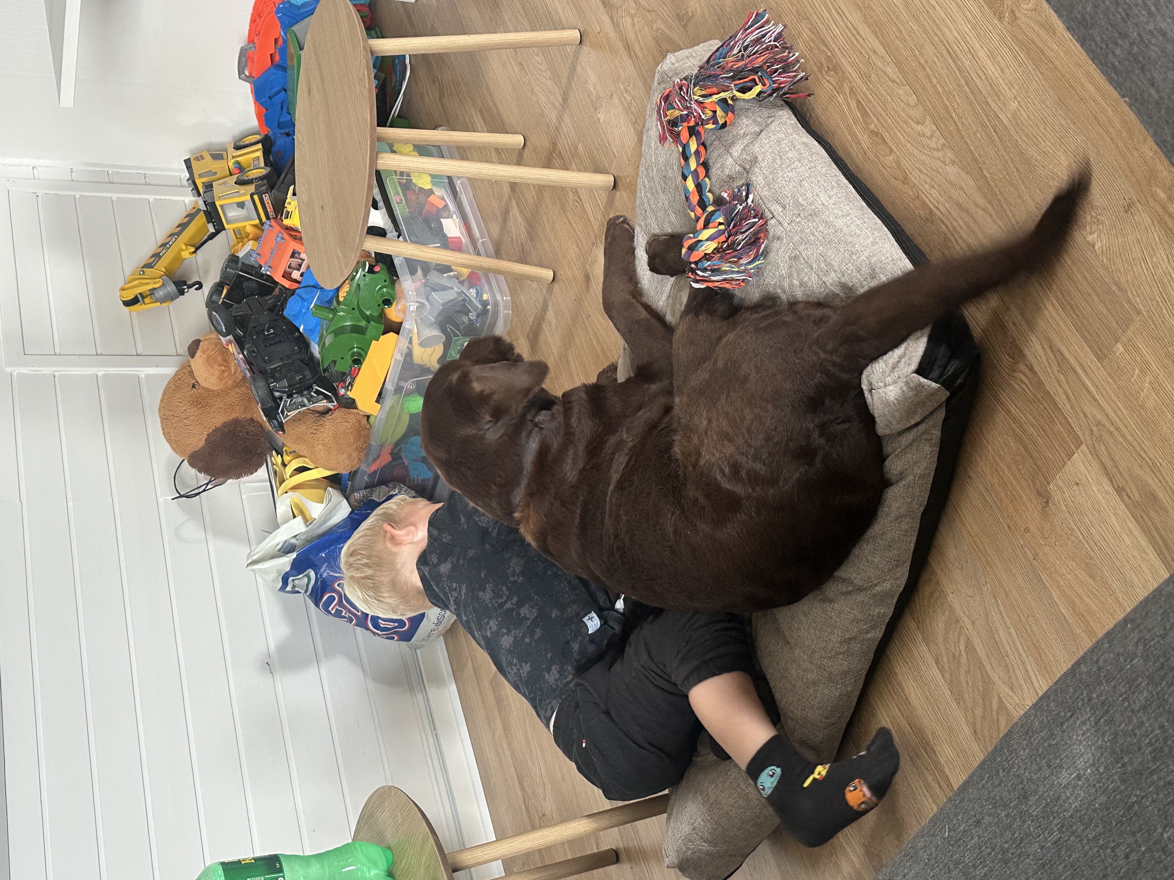 image-7