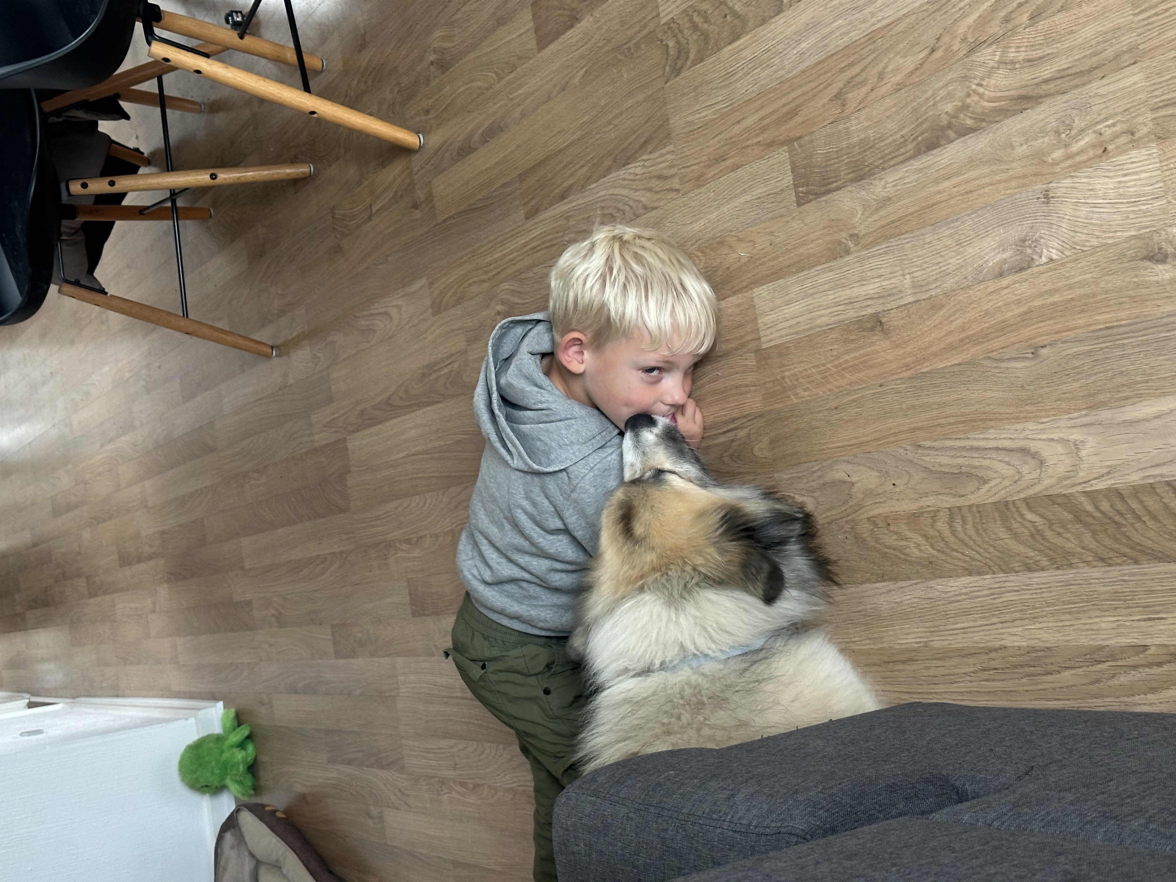image-11