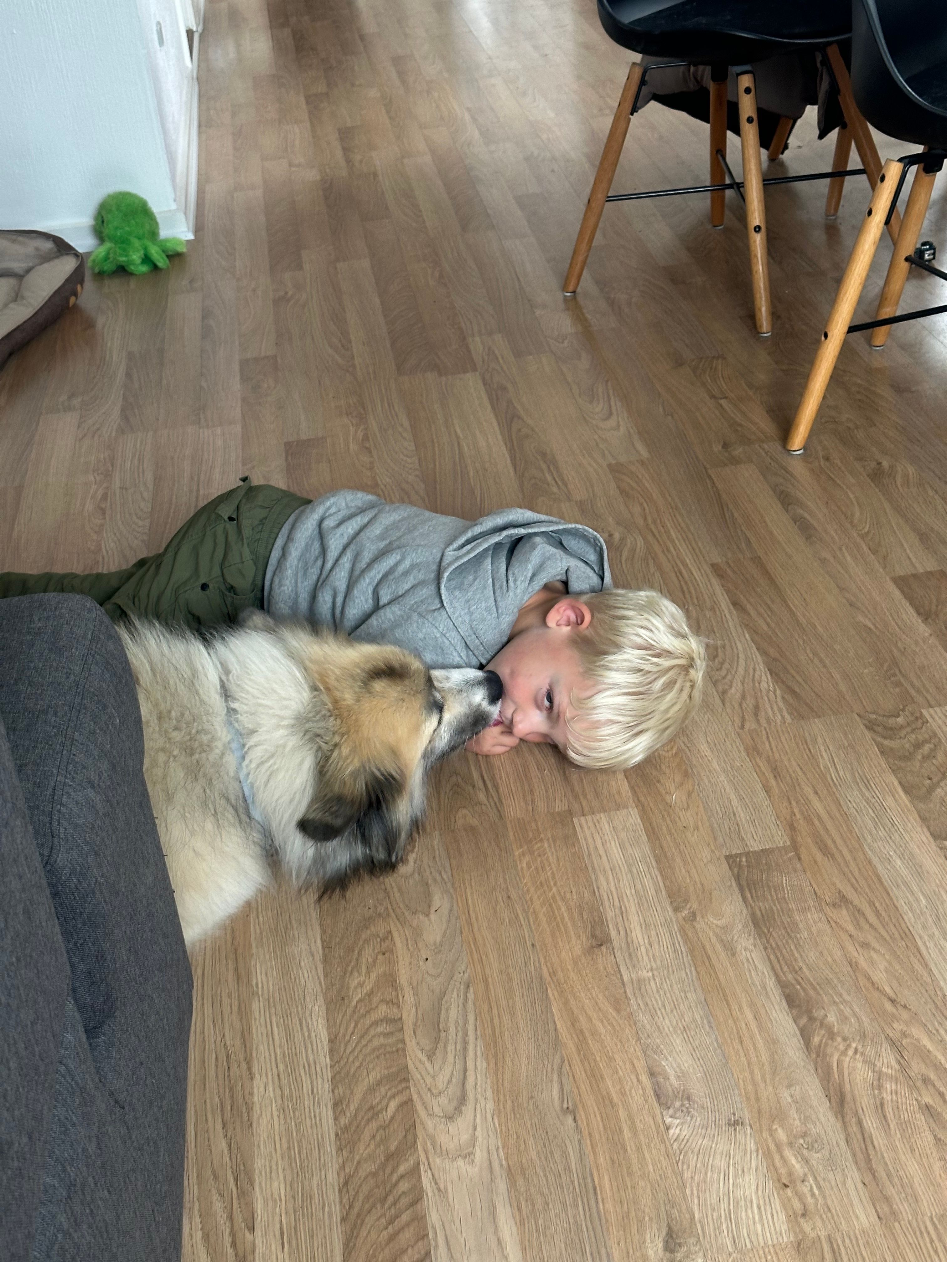 image-11