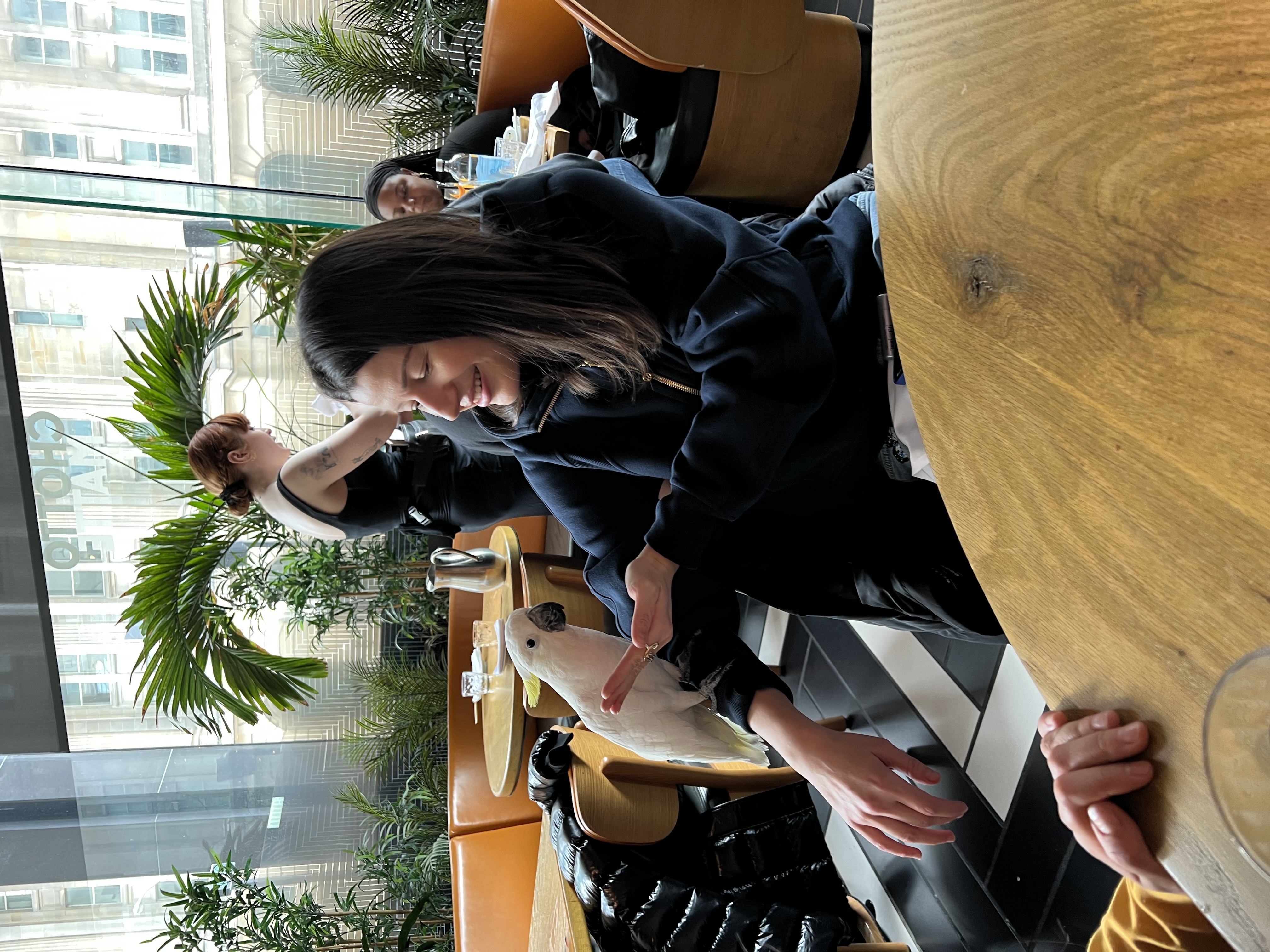 image-3