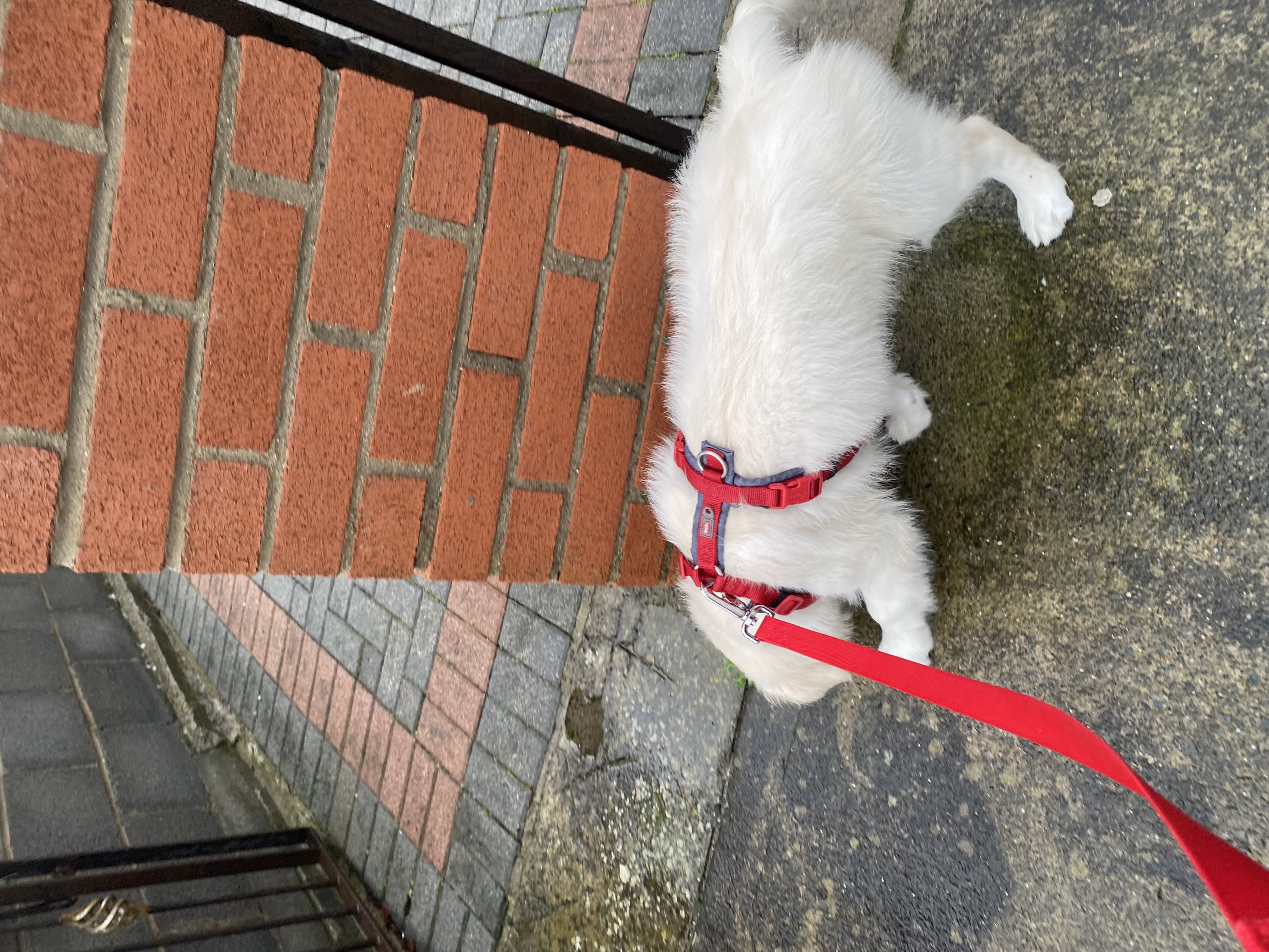 image-12