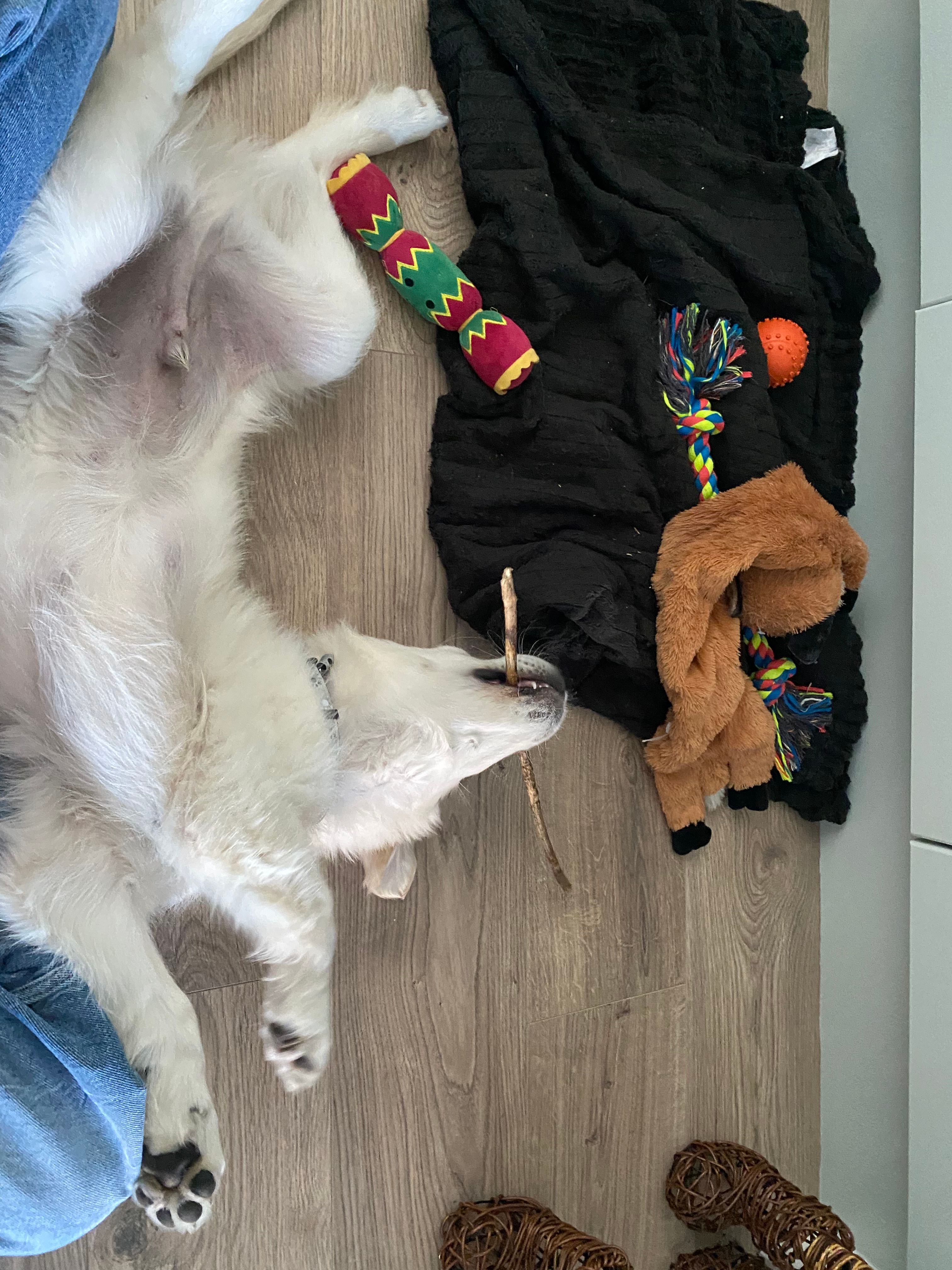 image-11