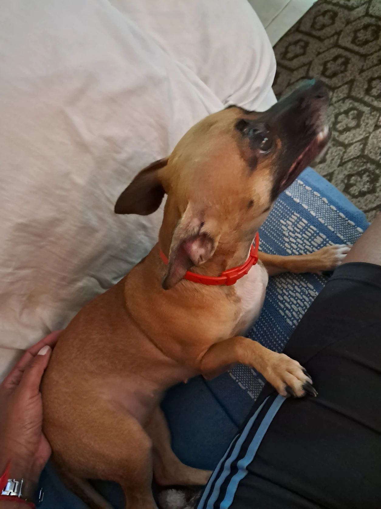 image-20