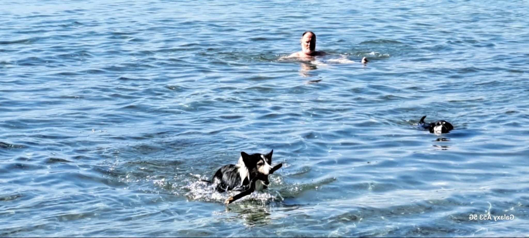 image-14