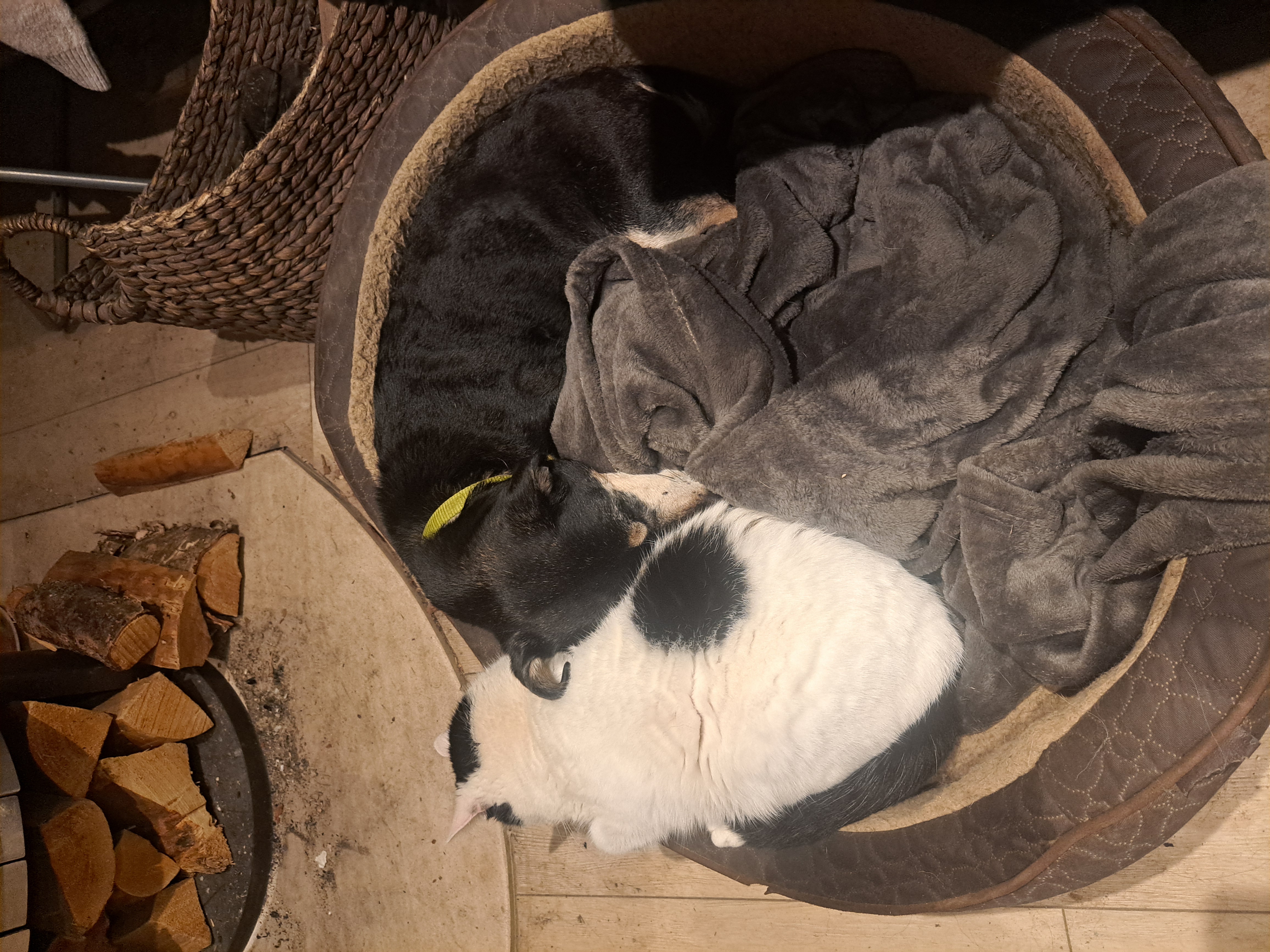 image-5