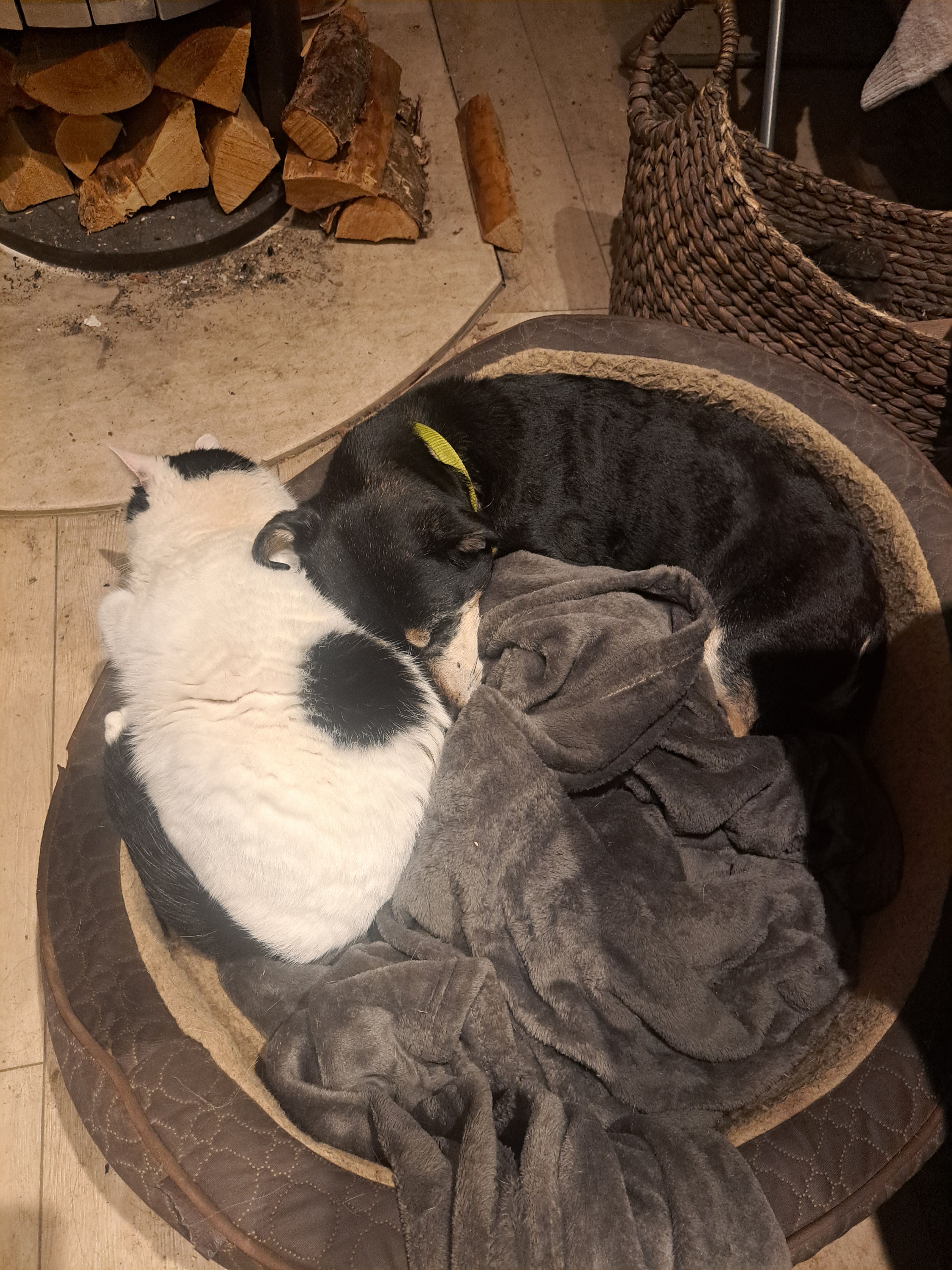 image-5