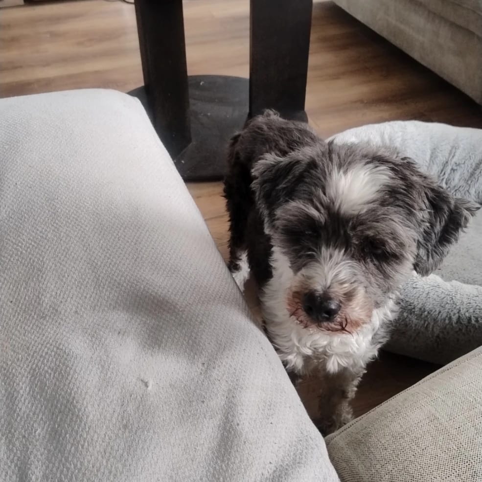 Sam