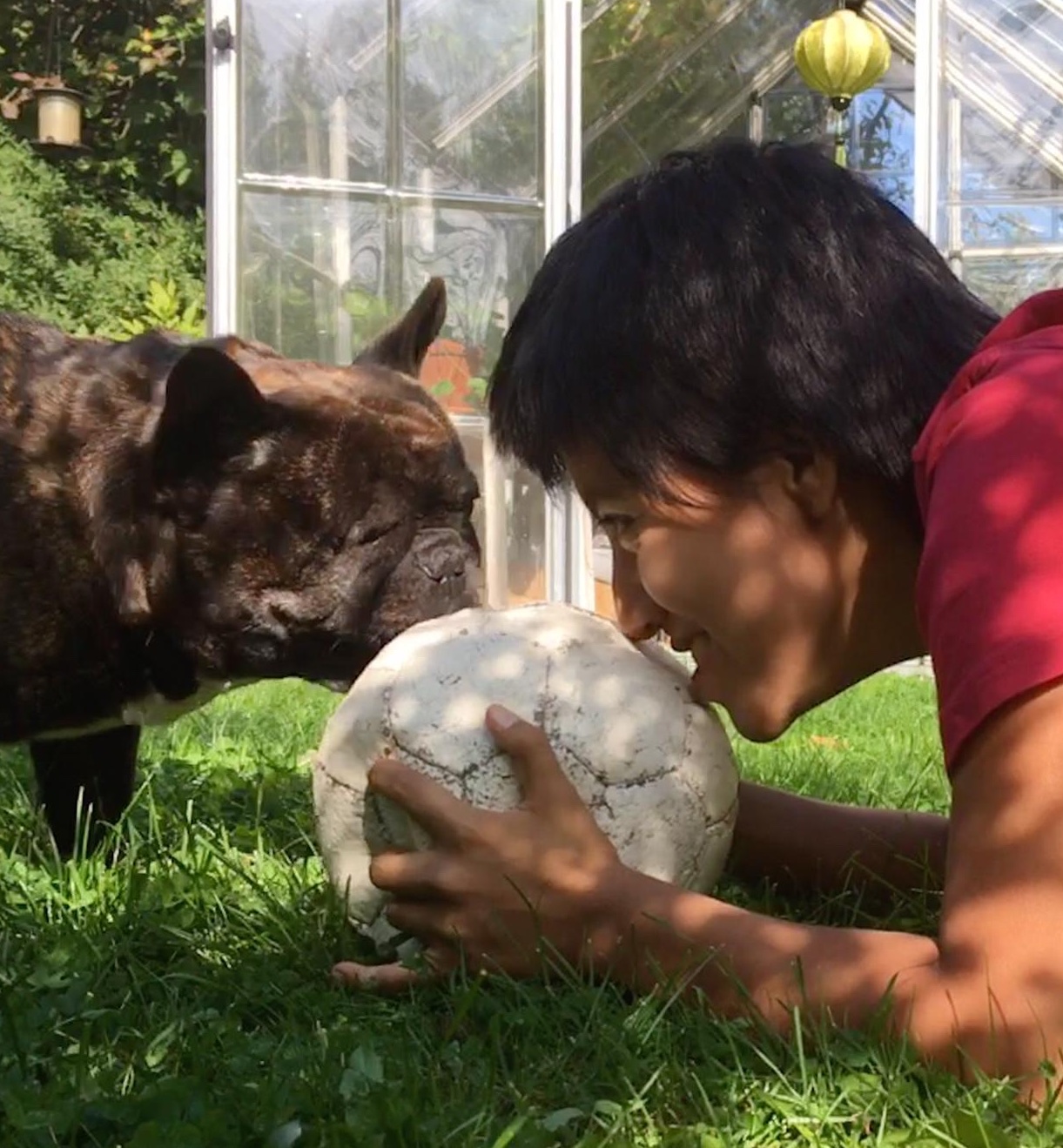 image-2