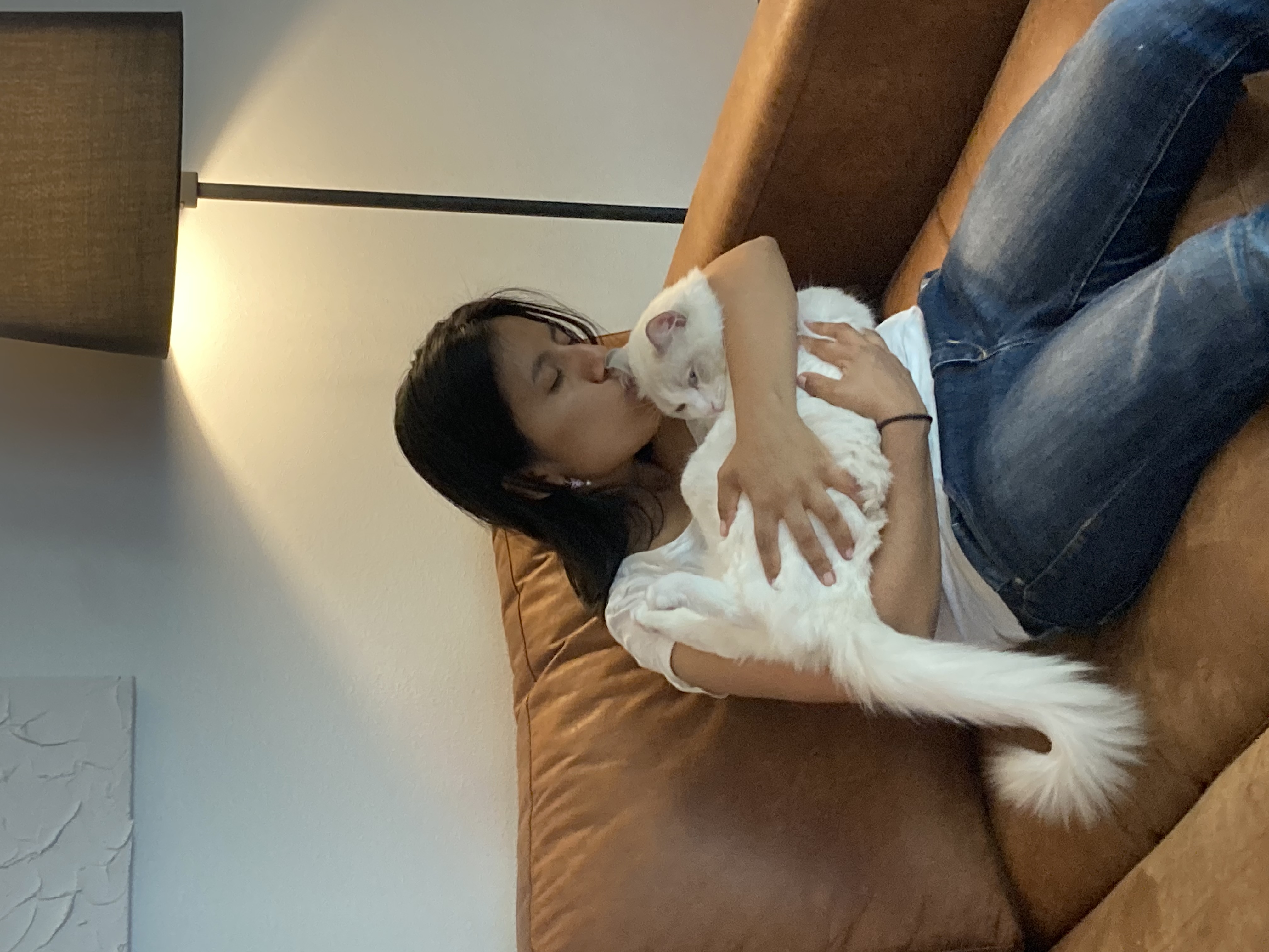image-5