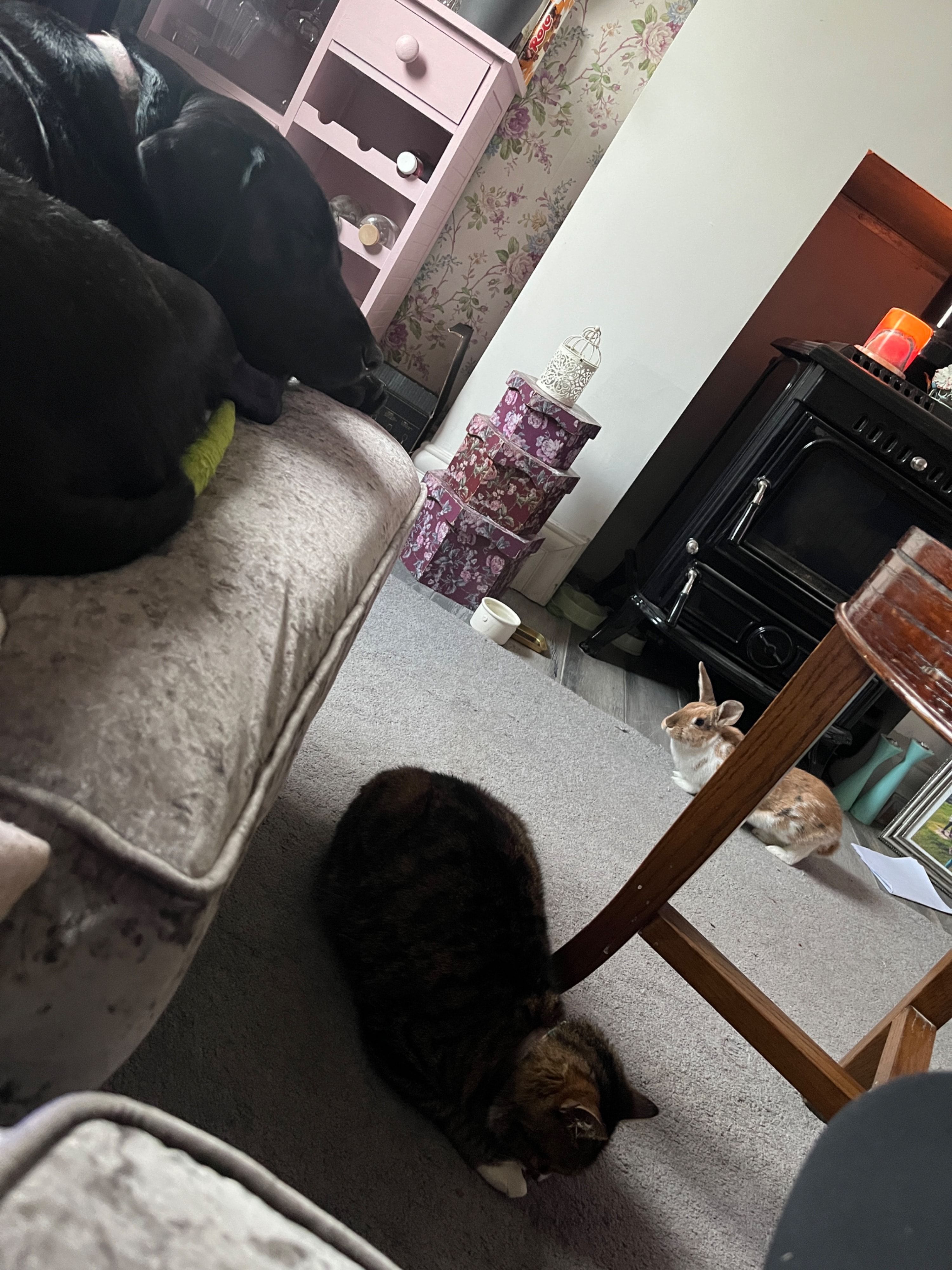 image-18
