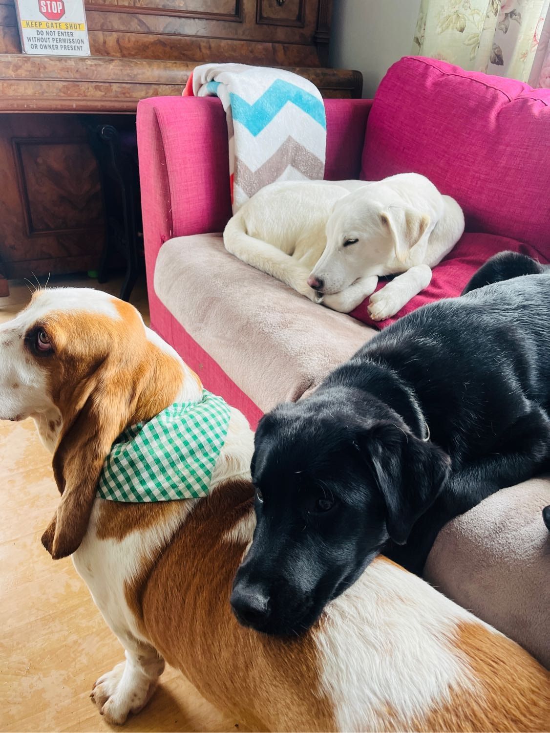 image-57