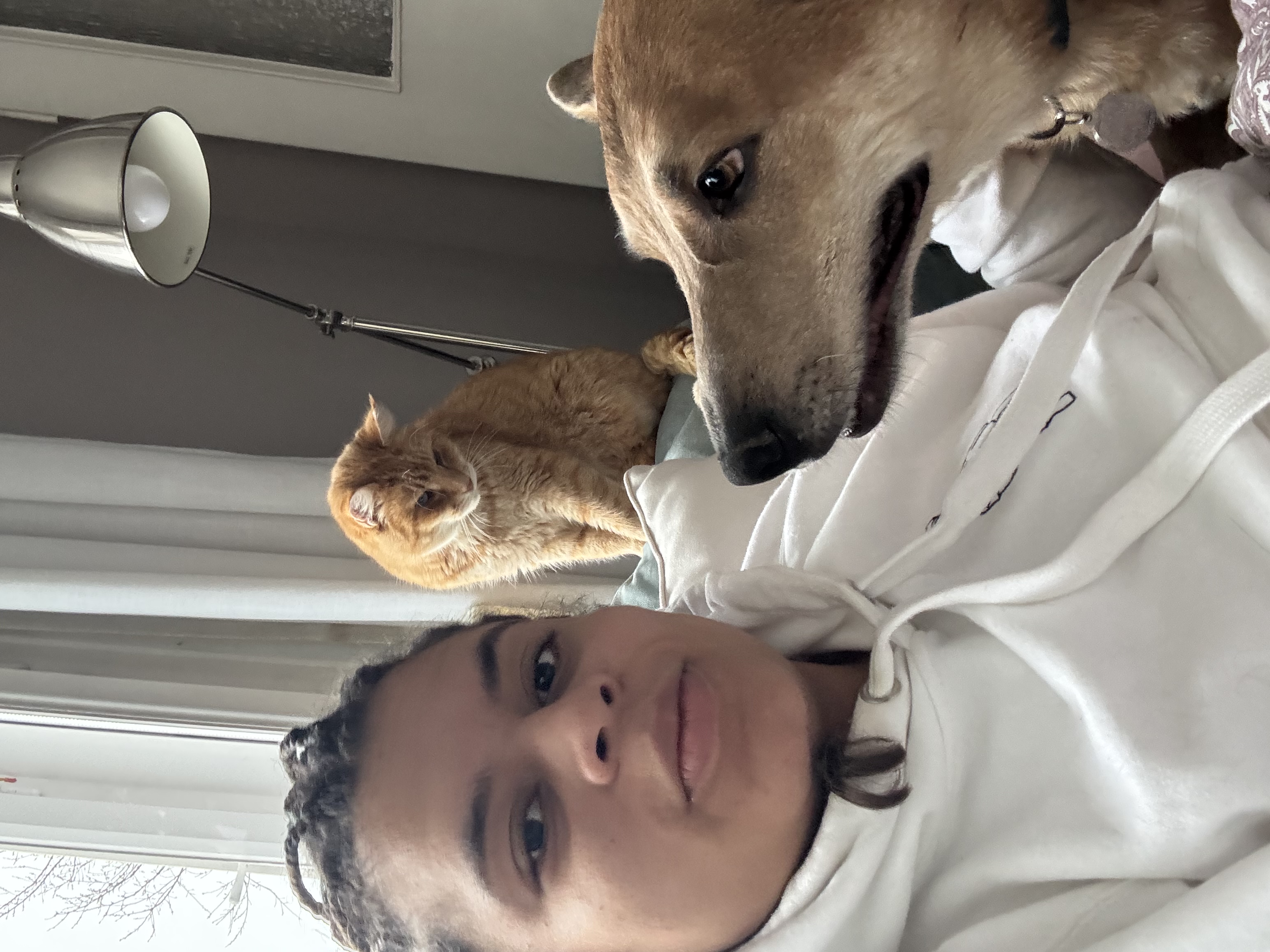 image-7