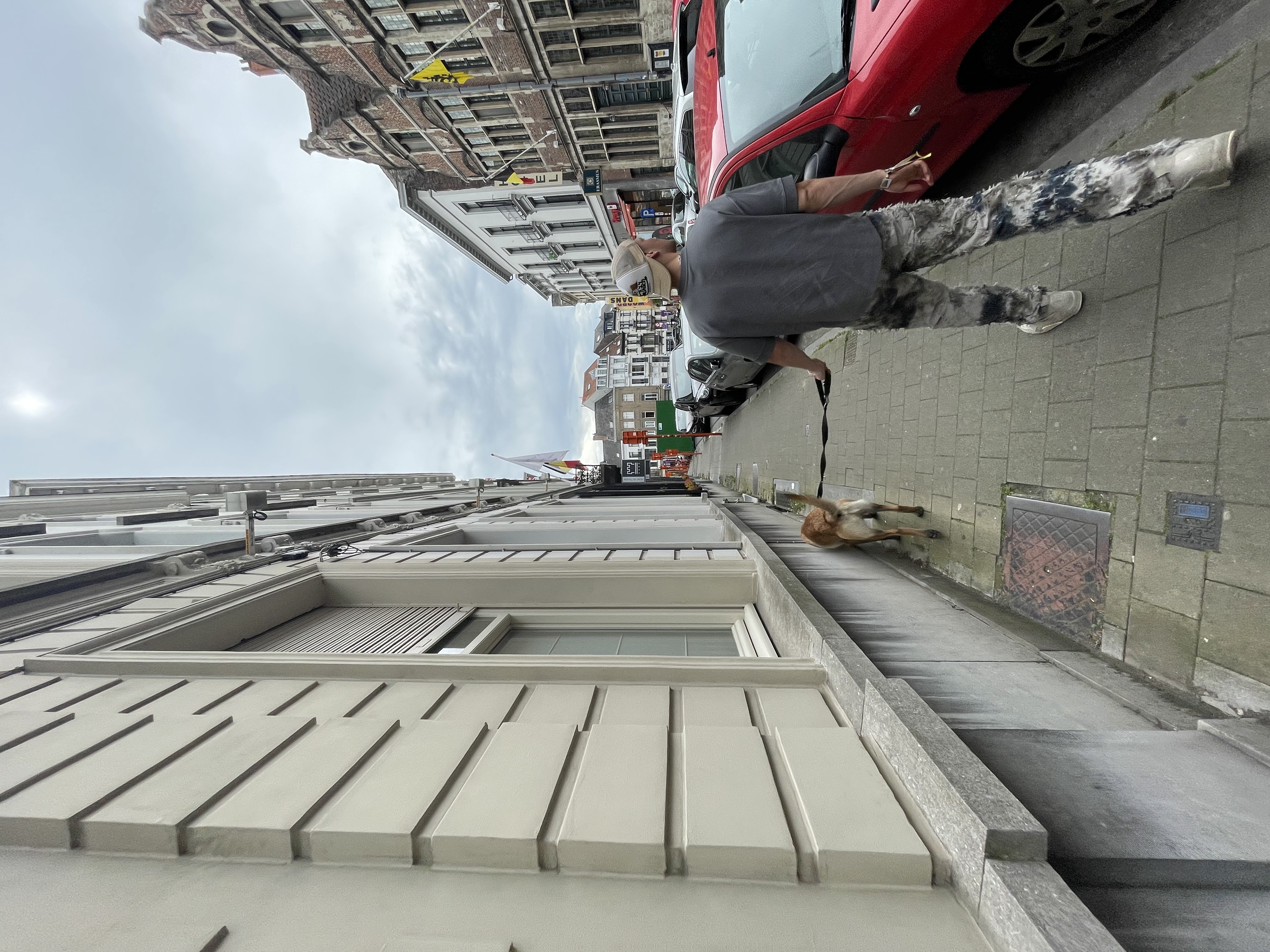 image-7