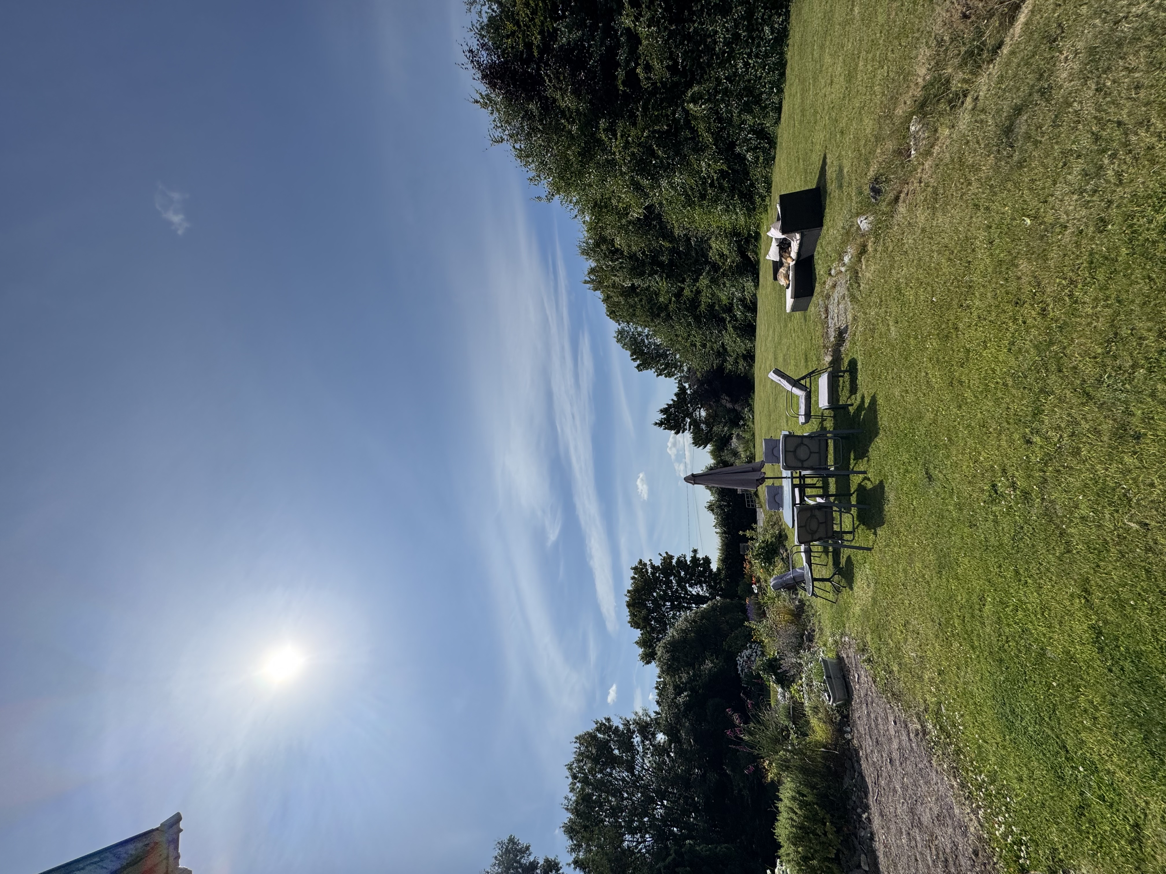 image-20