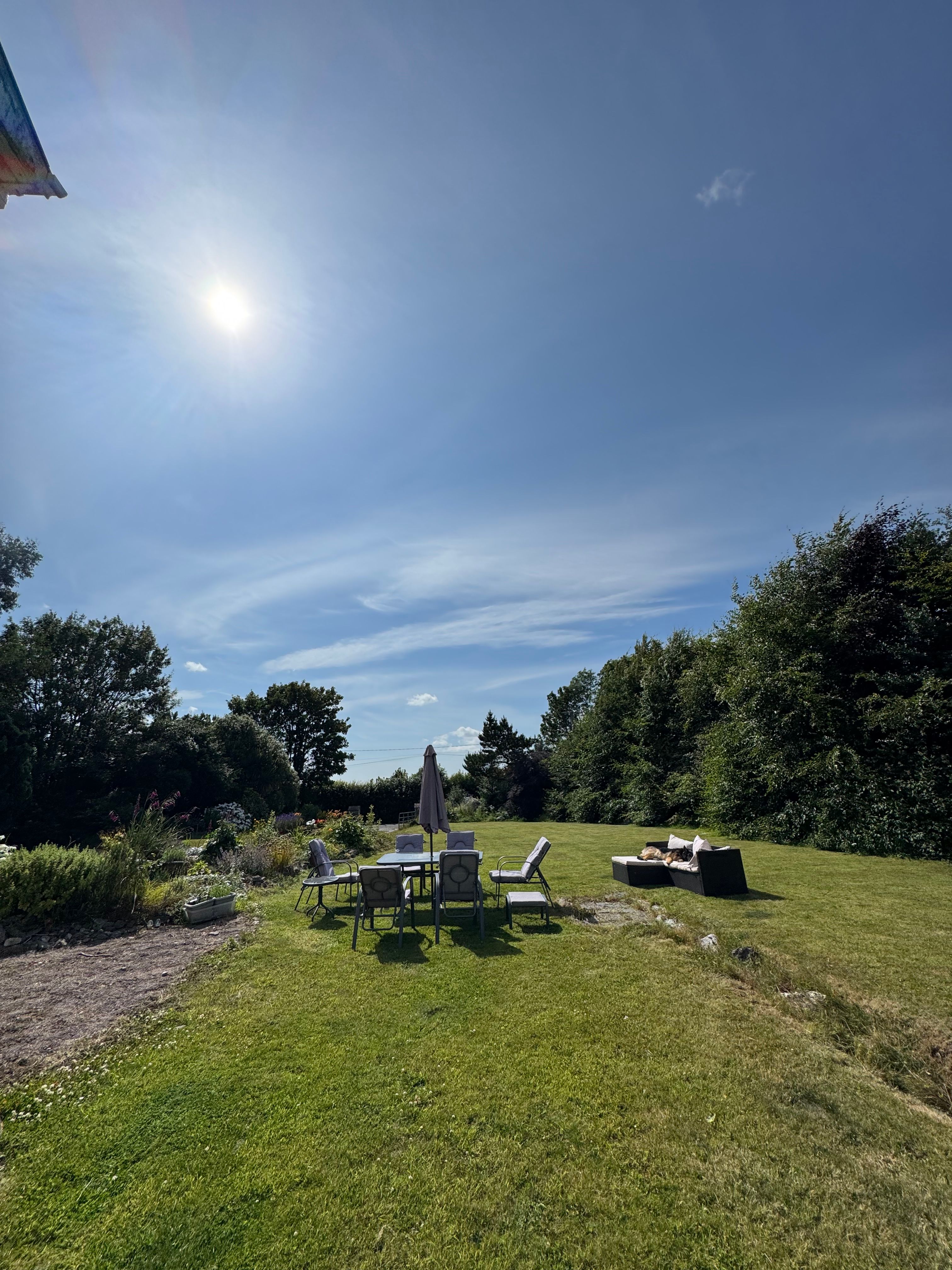 image-20