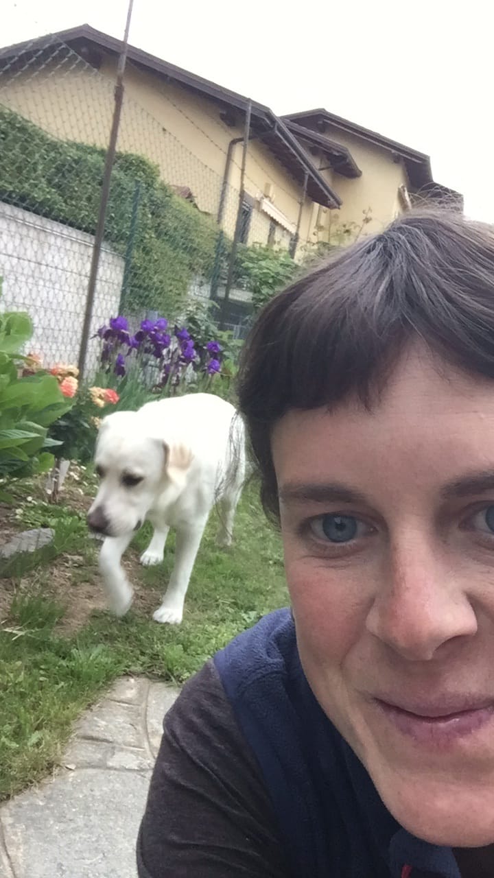 image-11
