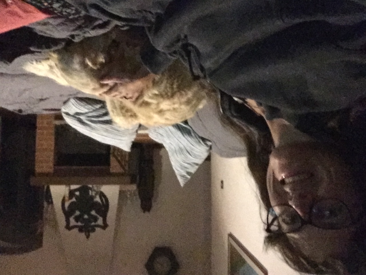 image-8
