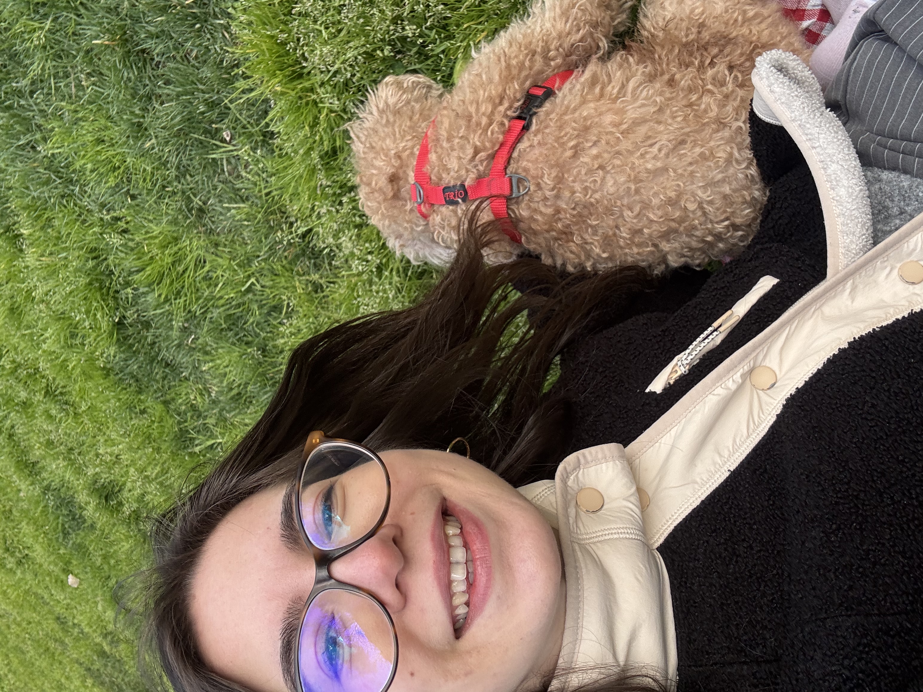 image-6